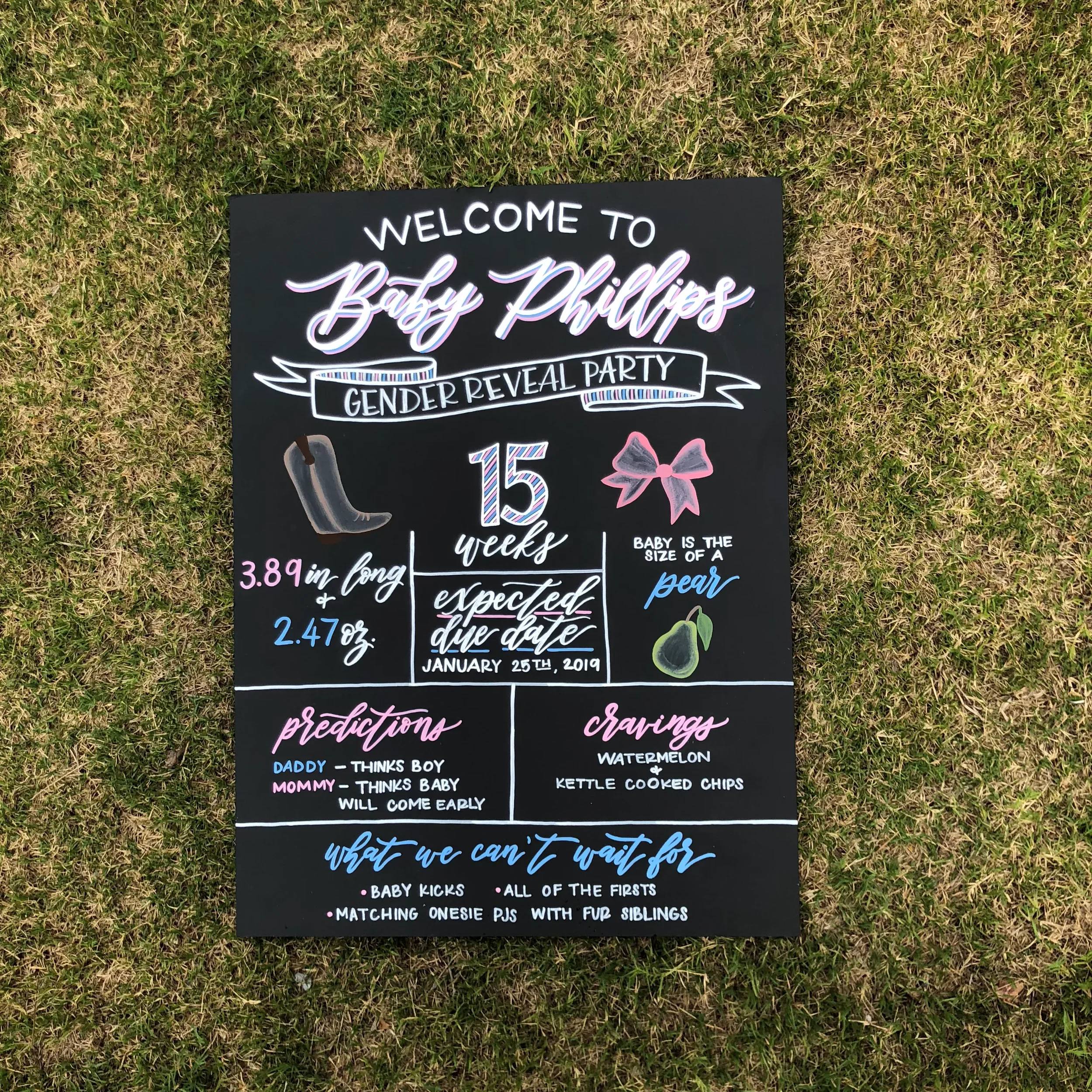 Custom hand-lettered gender reveal party chalkboard sign on grass displaying baby stats and predictions.