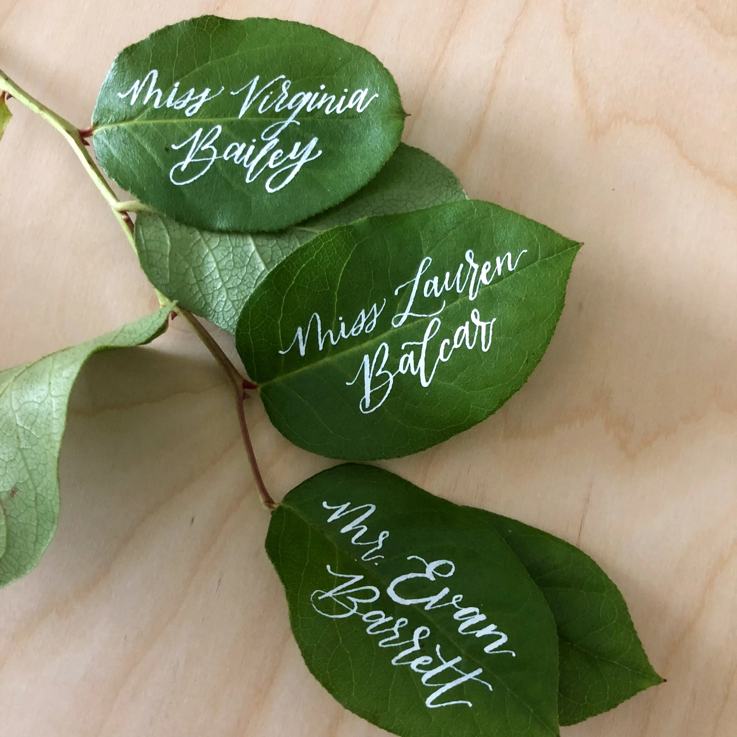 Fresh green leaves personalized with fine white ink script calligraphy for wedding place cards.