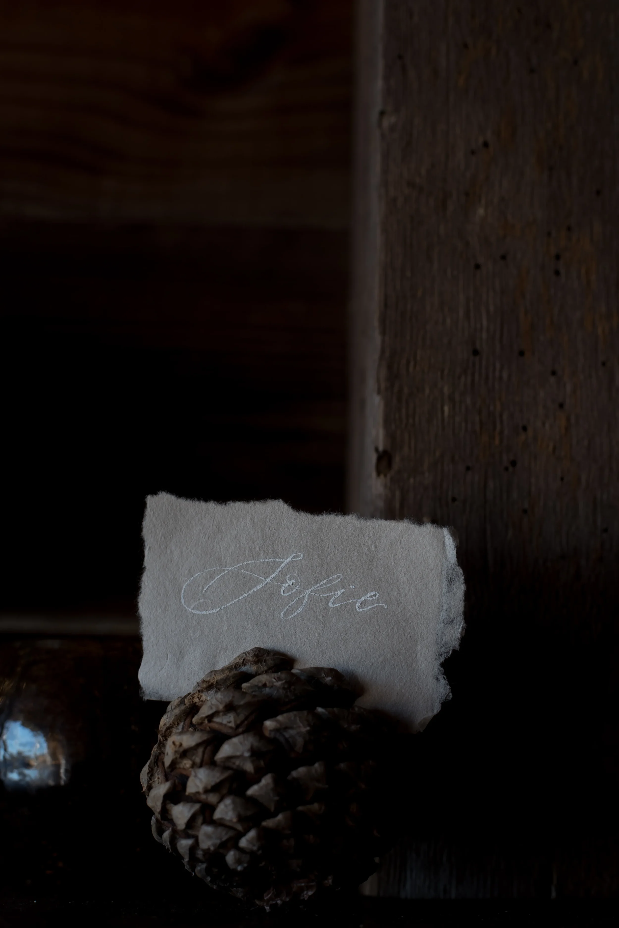 Hand-lettered deckled-edge paper place card with white script name "Sofie" propped inside a pinecone card holder.