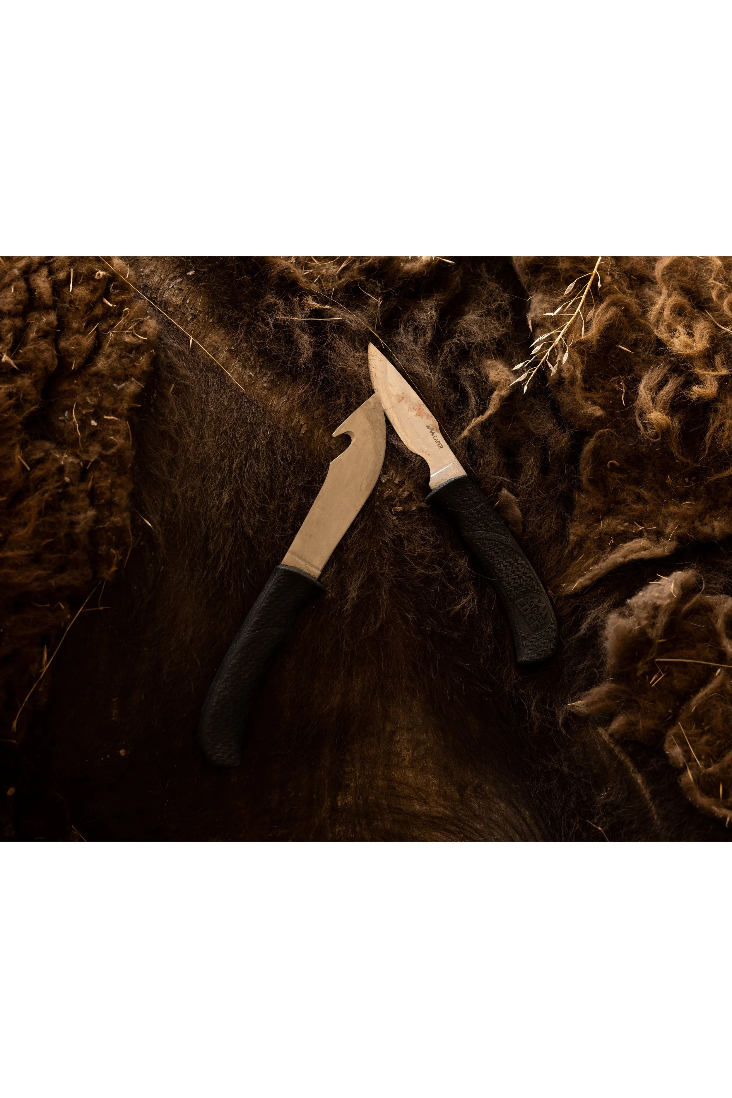 Knives, 2024
