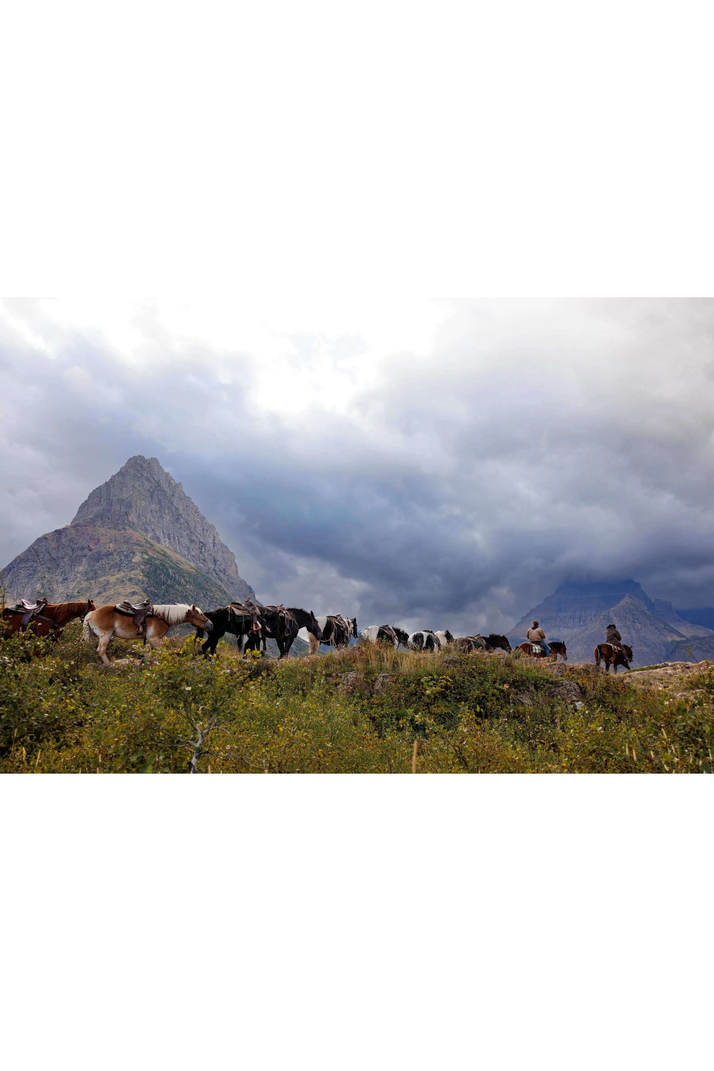 Horse Mountain, 2024