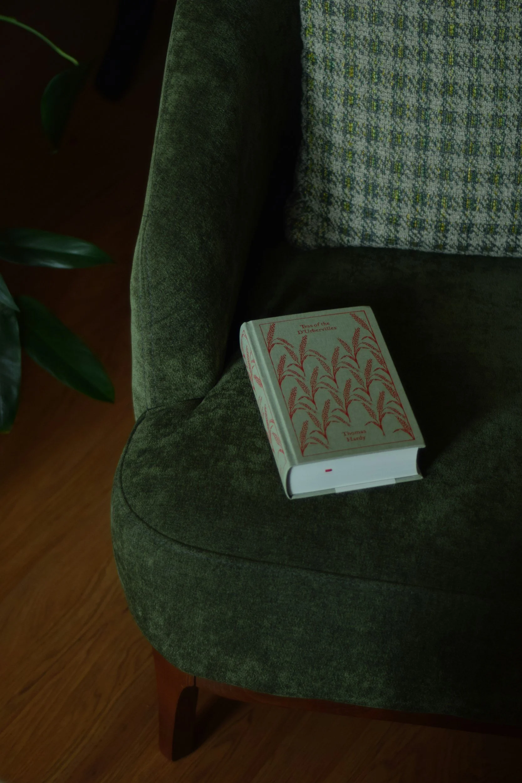 Poltrona e livro — aconselhamento parental em Lisboa