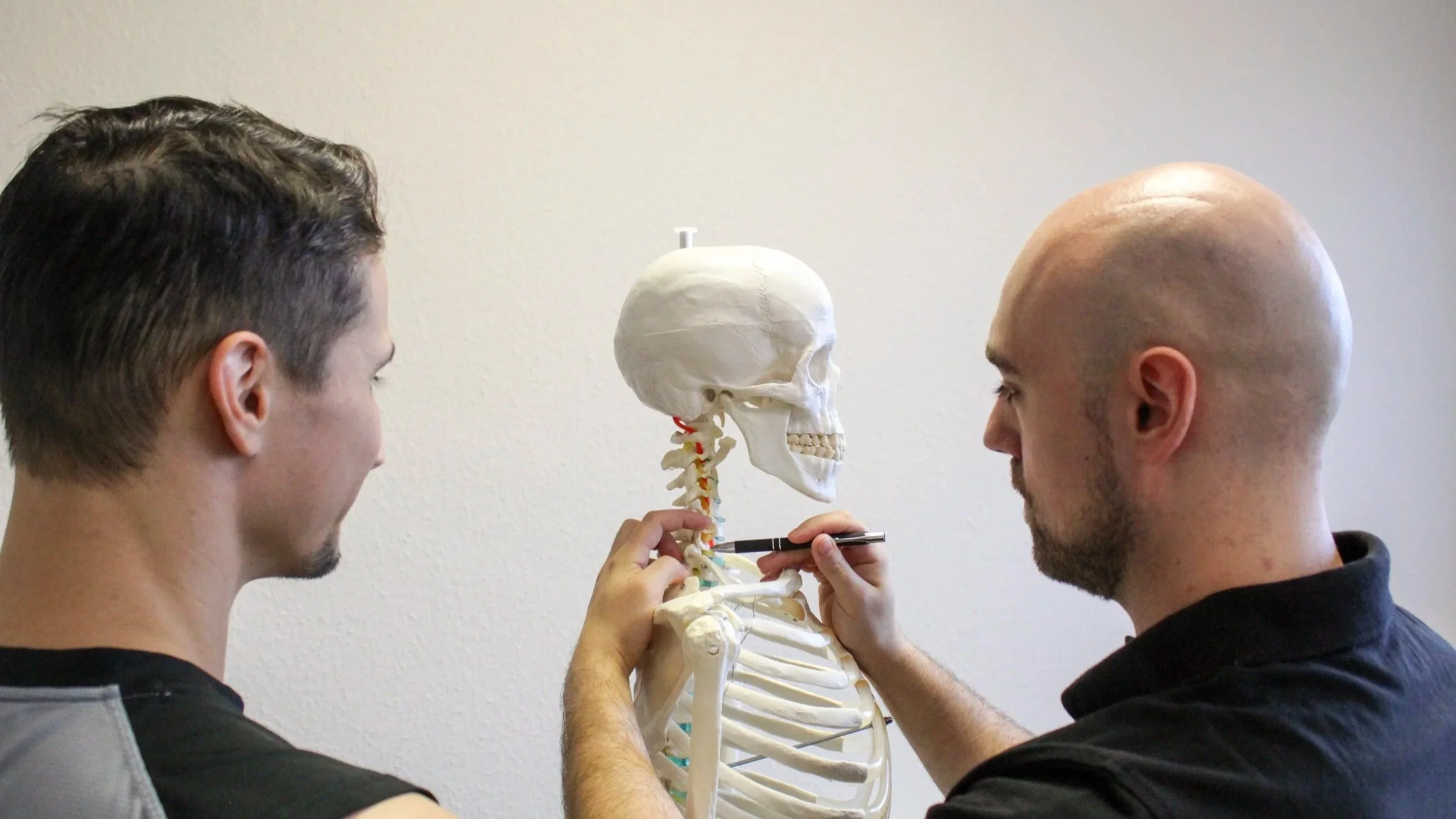 Ein Physiotherapeut und ein Patient betrachten ein menschliches Skelettmodell. Der Therapeut zeigt mit dem Stift auf Teile der Wirbelsäule und erklärt etwas darüber.