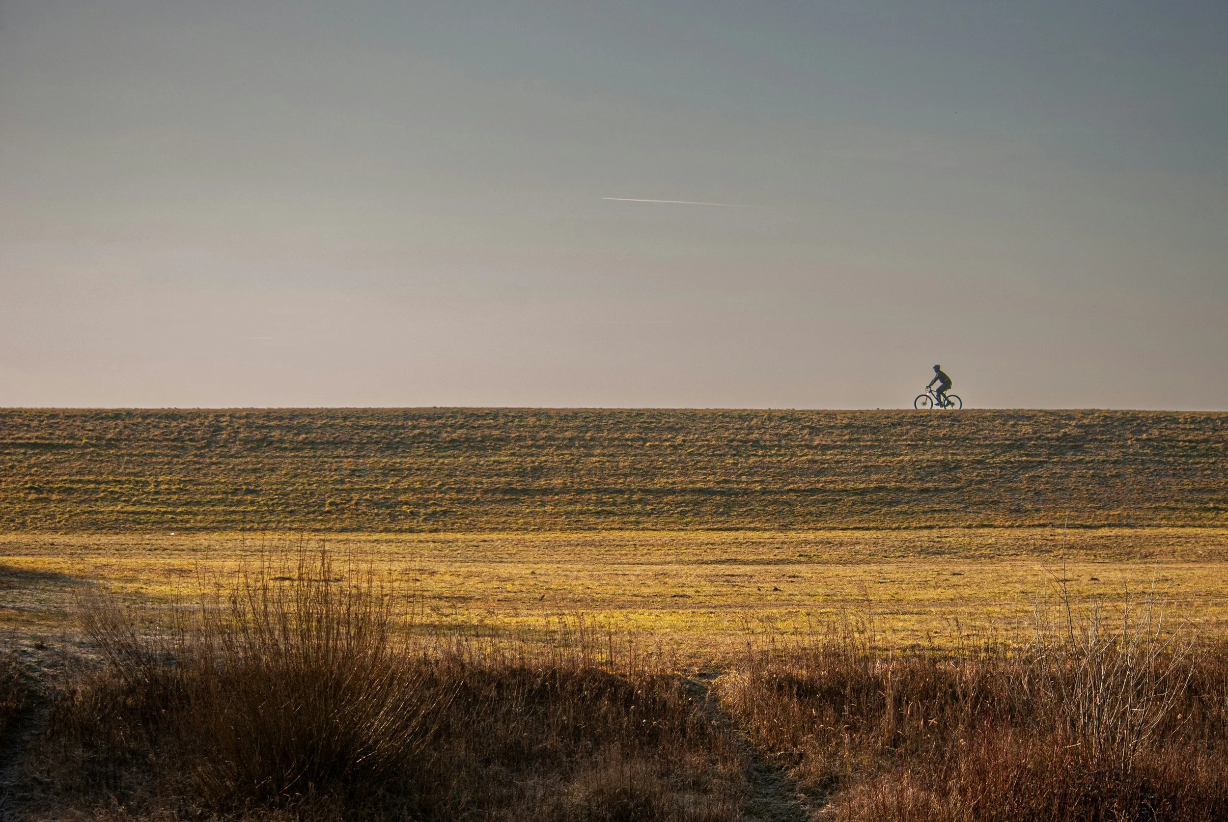 Agriculture française et territoires : quels leviers de développement face aux défis contemporains ?