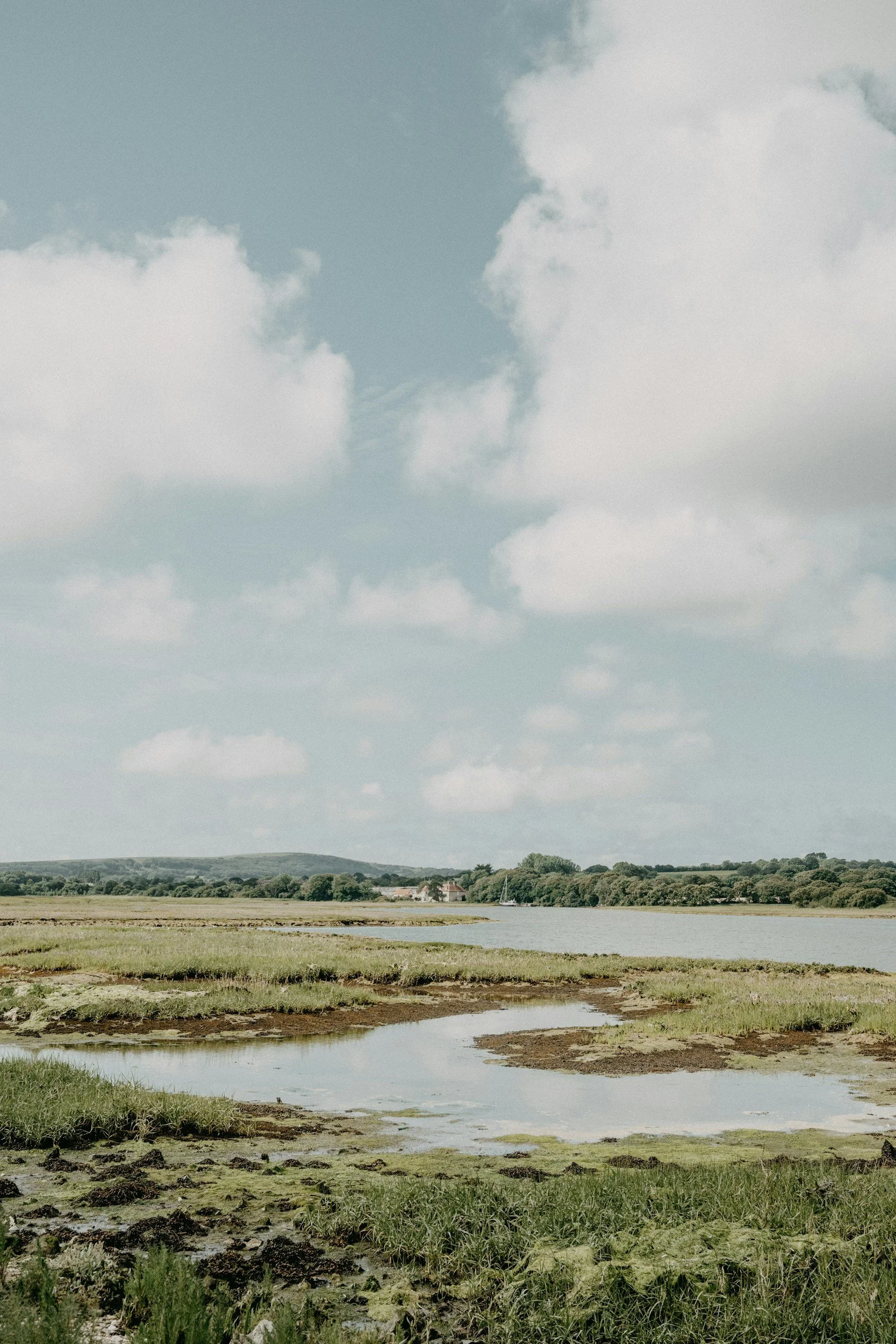 A landscape featuring a calm river or lake in the foreground with grassy, muddy banks, and a line of trees and rolling hills in the distance under a partly cloudy sky.