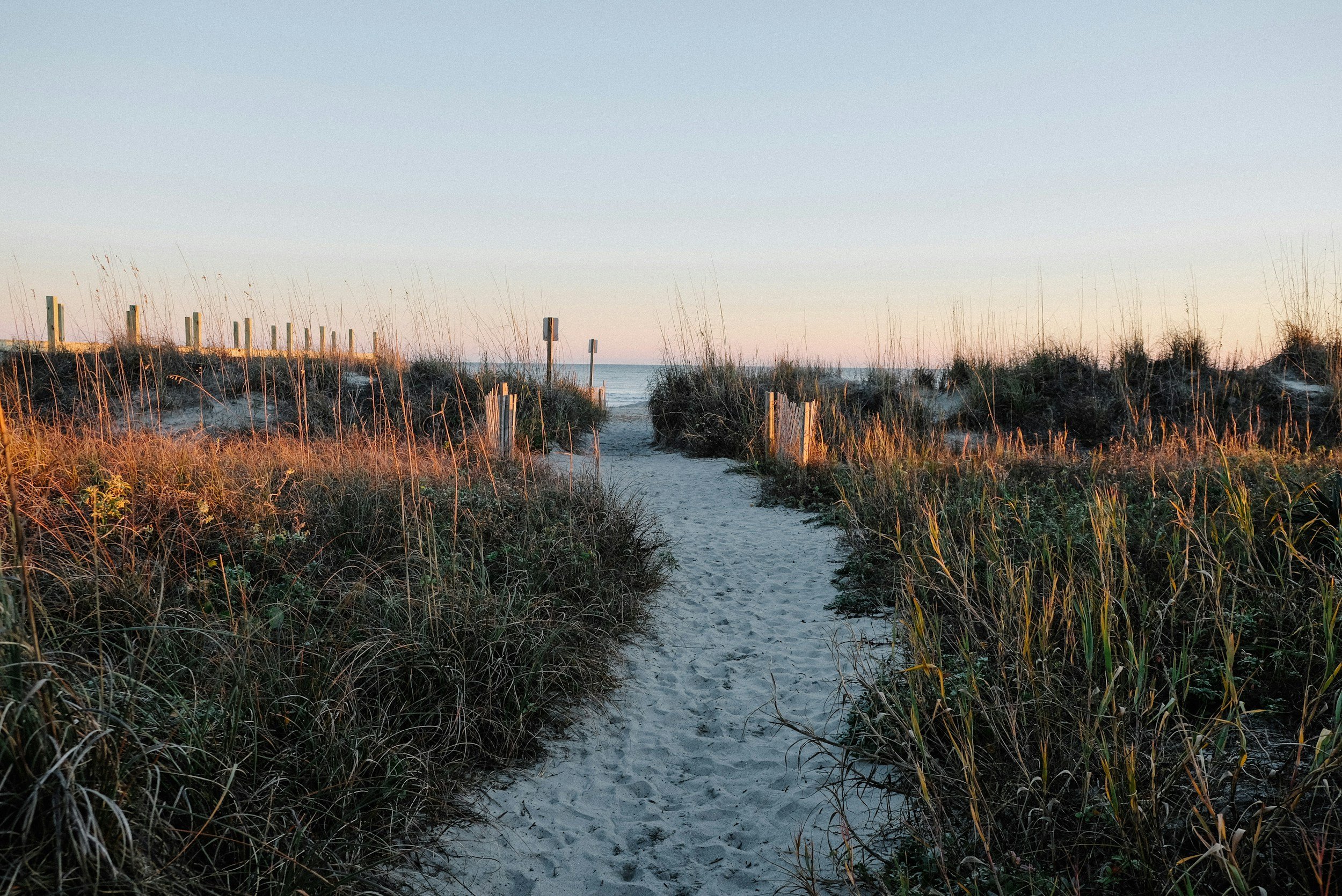 Sand pathway through dunes with tall grasses leading to the beach and ocean in the distance at sunset.