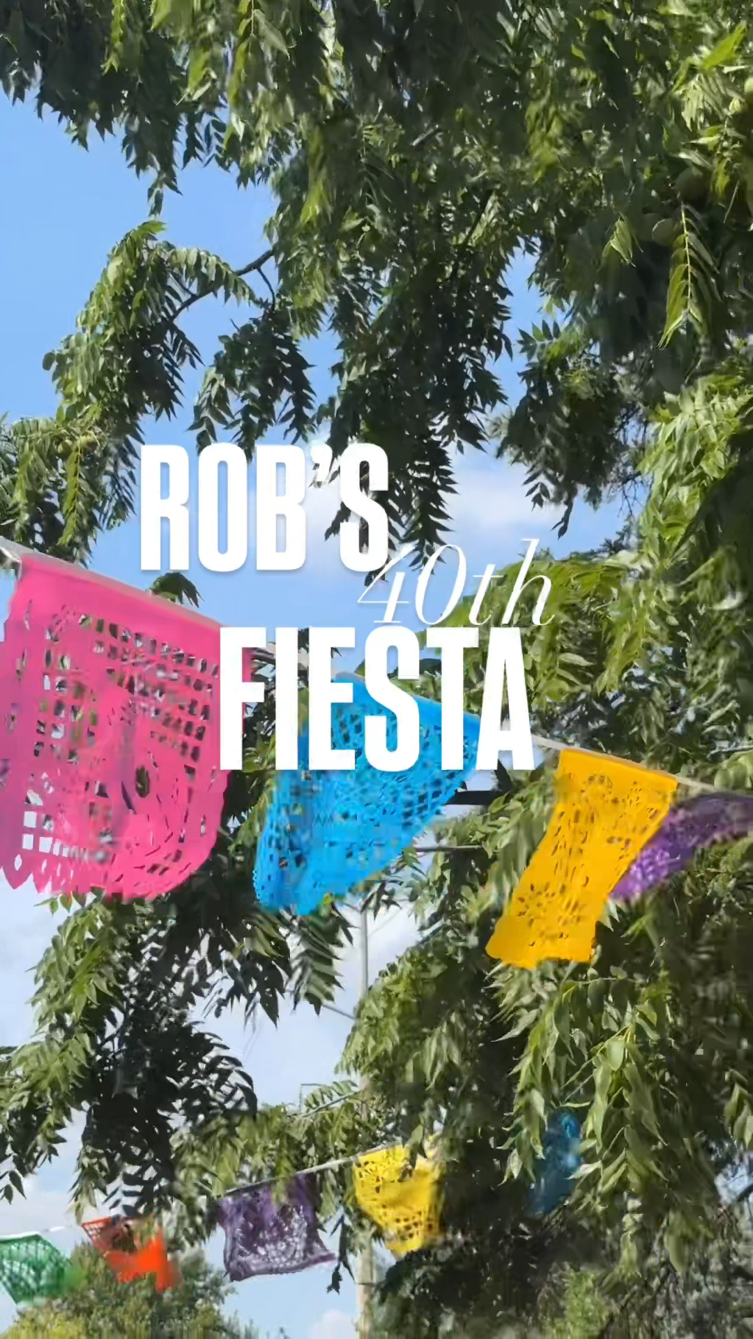 Rob's 40th Fiesta