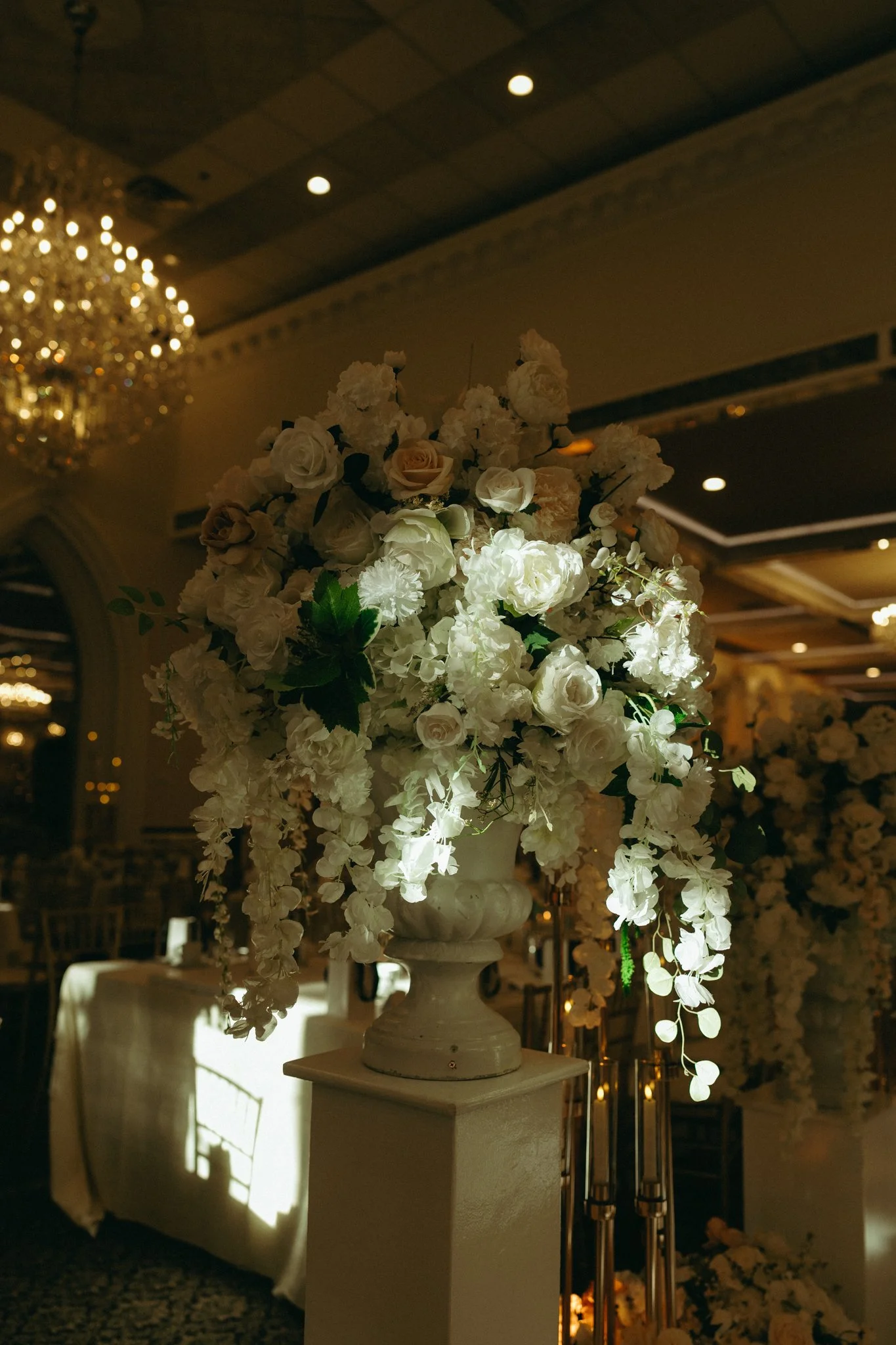 DSC08129.jpeg