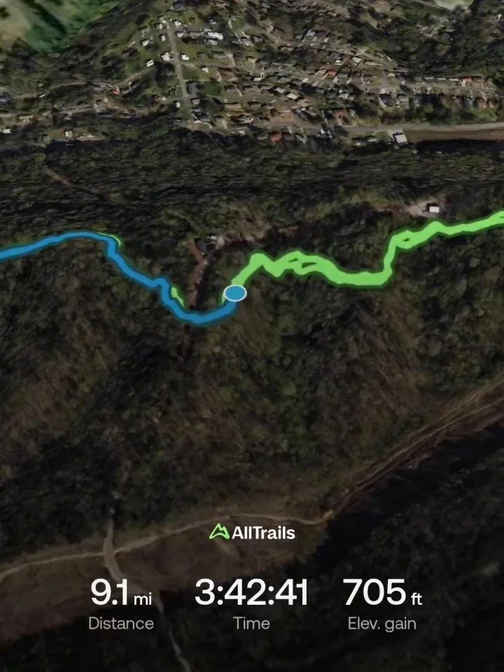 Aerial view of a forested trail with a marked route in green and blue, displaying 9.1 miles distance, 3 hours 42 minutes and 41 seconds duration, and 705 feet elevation gain.