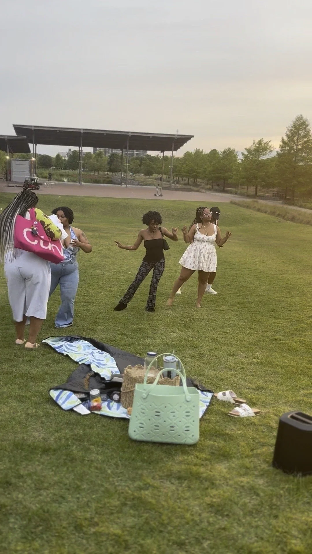 A group of women dancing on a grassy field during an outdoor gathering with picnic items and bags on a blanket in the foreground, and trees and a pavilion in the background.