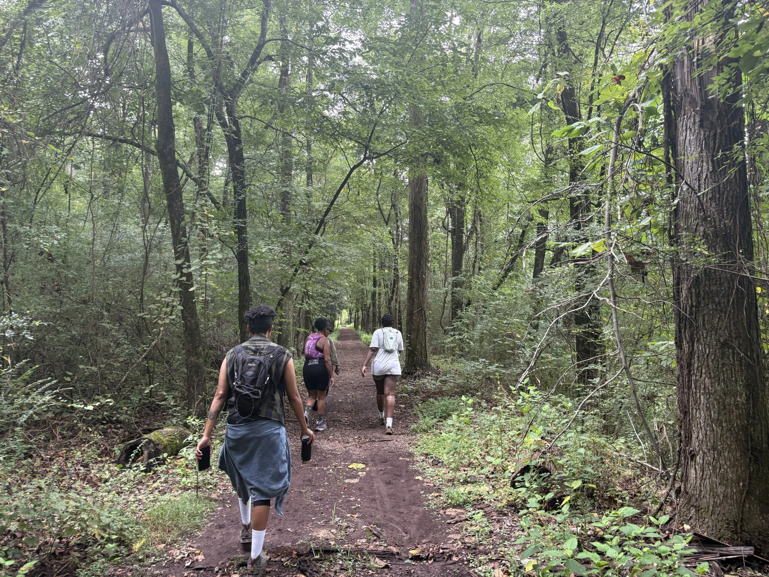 A group of four people walking on a forest trail surrounded by tall trees and lush green foliage.