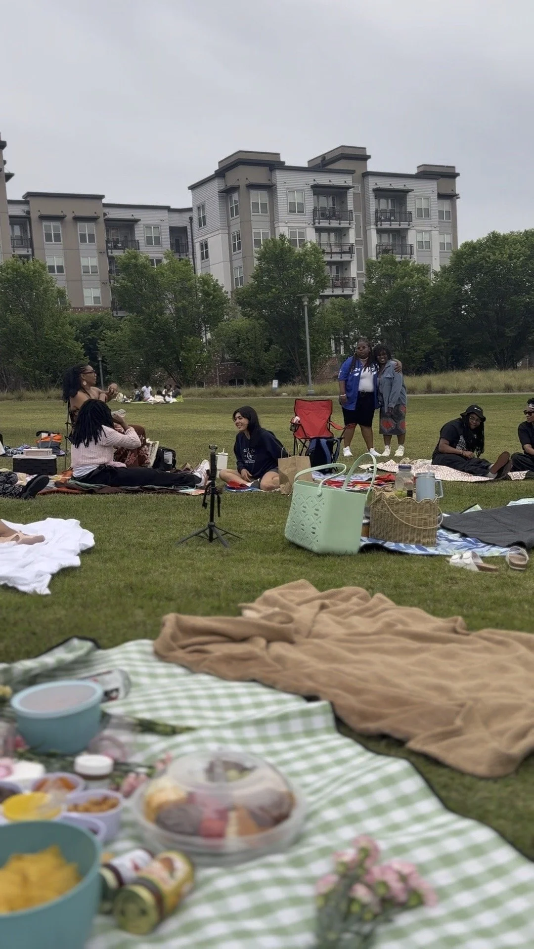 People having a picnic on a grassy park, with food, blankets, and folding chairs, surrounded by trees and apartment buildings in the background.