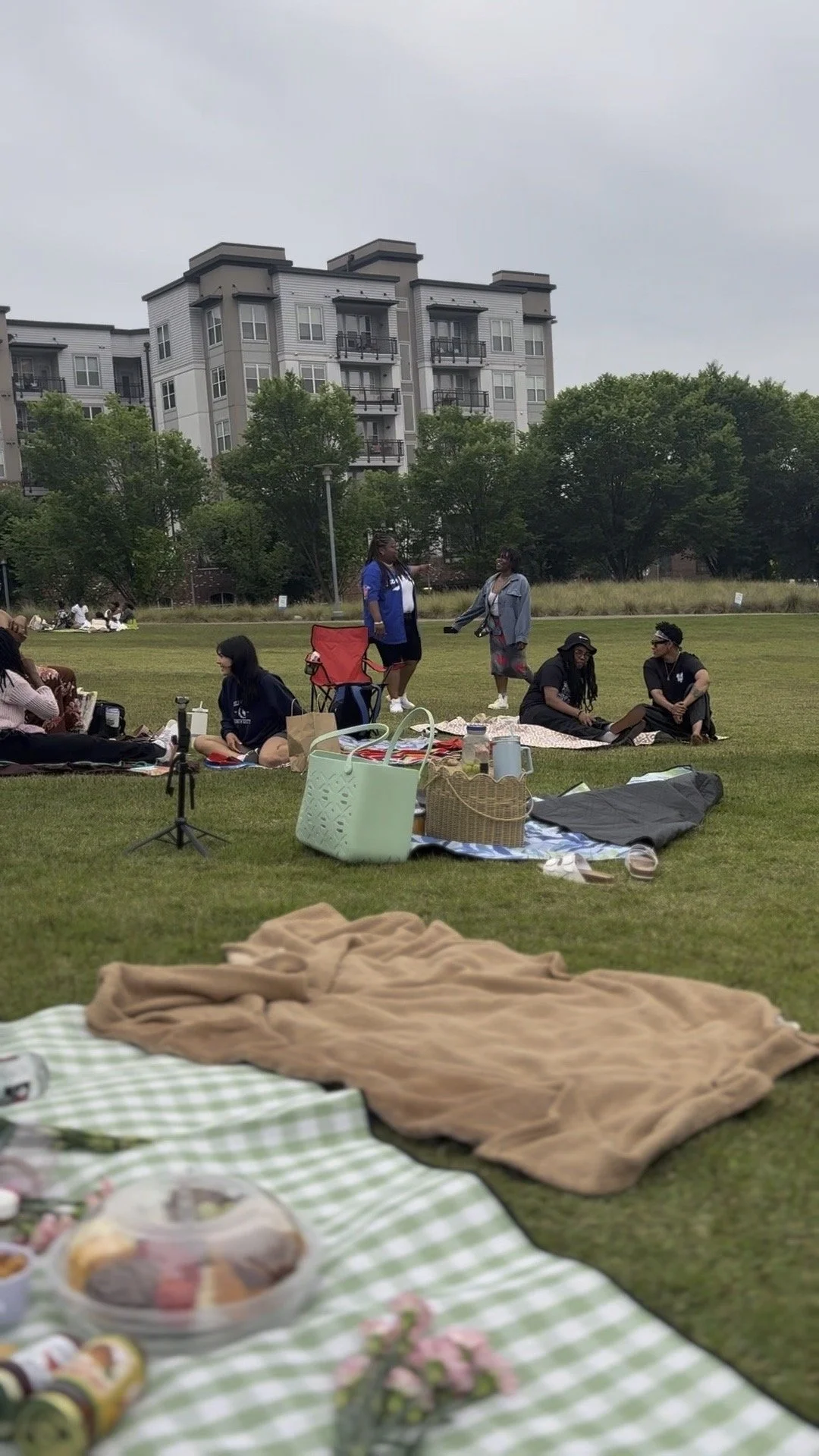 People having a picnic and socializing on a grassy field with blankets and food, with an apartment building and trees in the background.