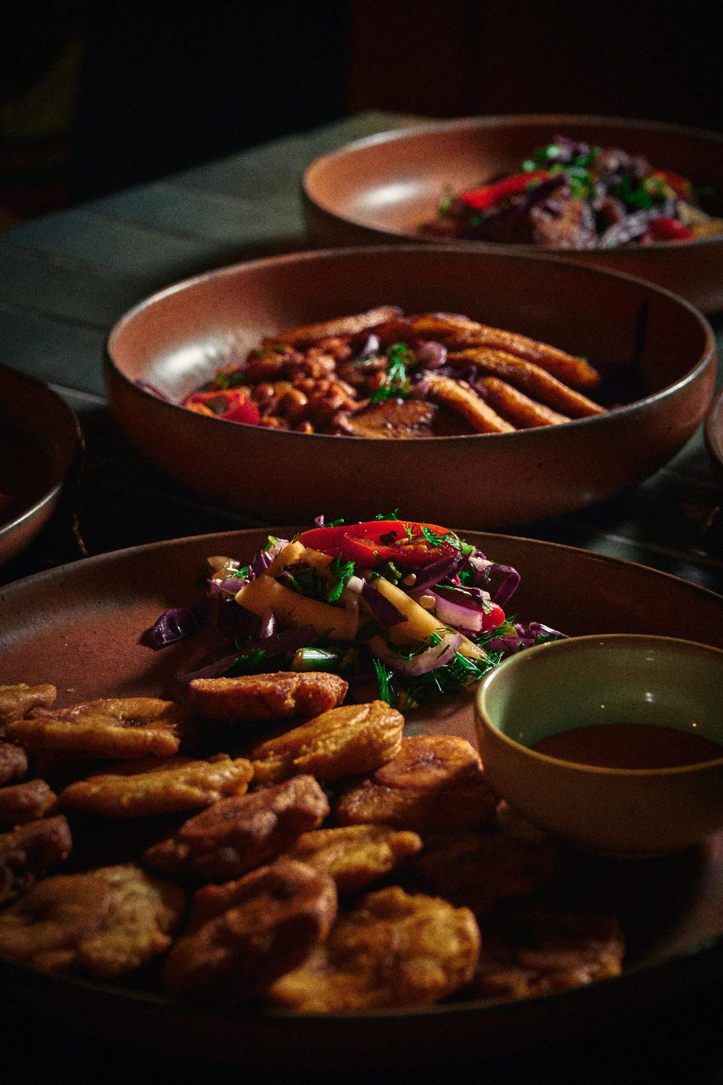 Image of several dishes of Asian cuisine, including fried items, noodles with vegetables, and a dish with chicken strips, served on brown plates with dipping sauces.