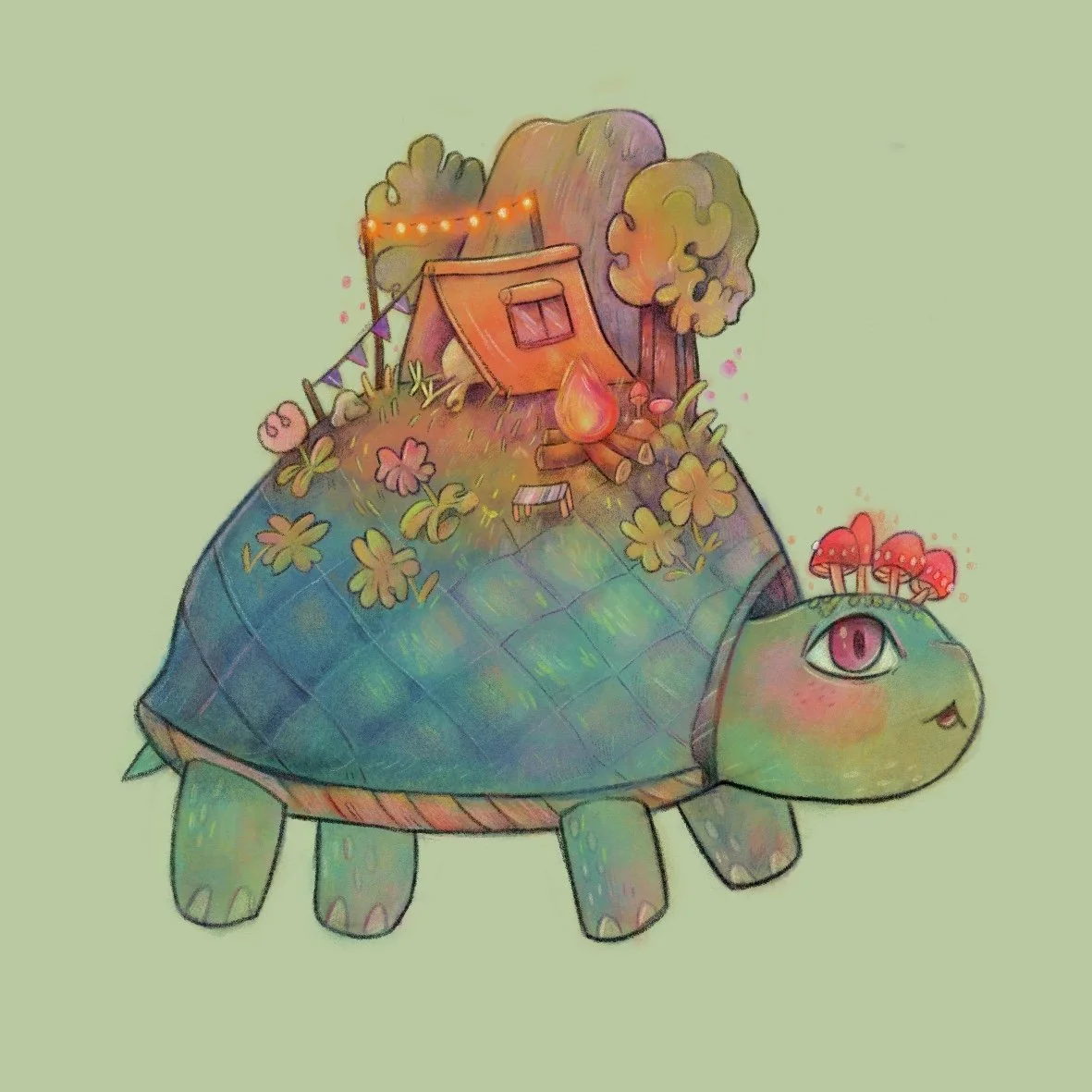 Tartaruga_Dtiys_RGB 2.jpg