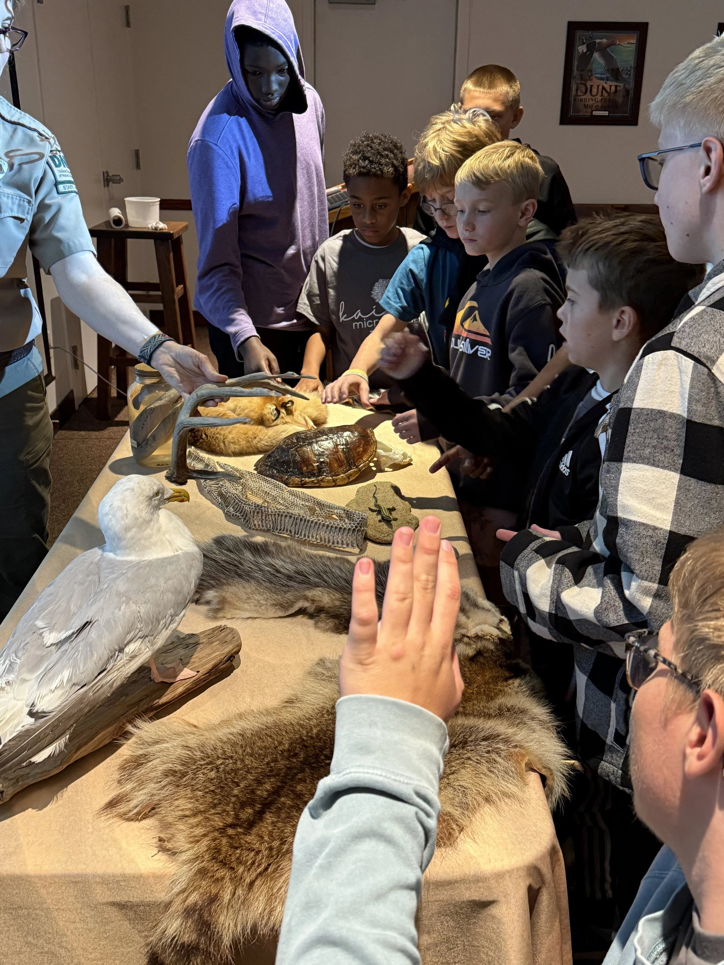 Children and adults gathered around a table with various animal specimens on display, including a large bird, a turtle shell, and a lion's body.