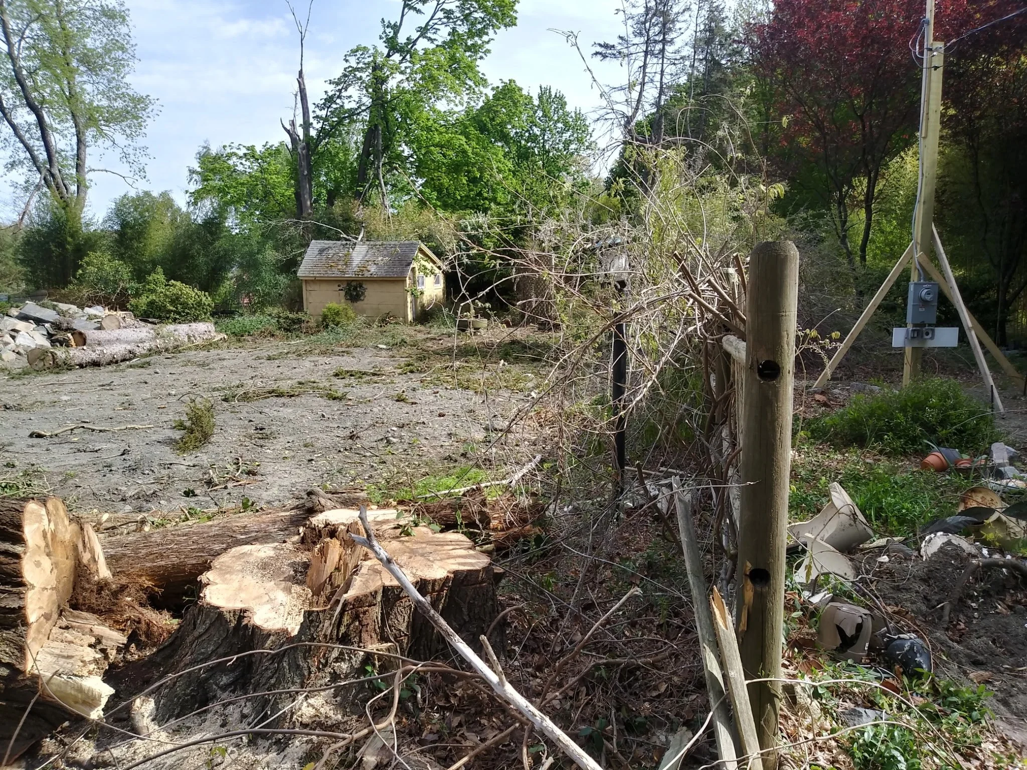 A backyard with a small yellow shed, fallen logs, and debris, surrounded by trees and a utility pole with electrical equipment.