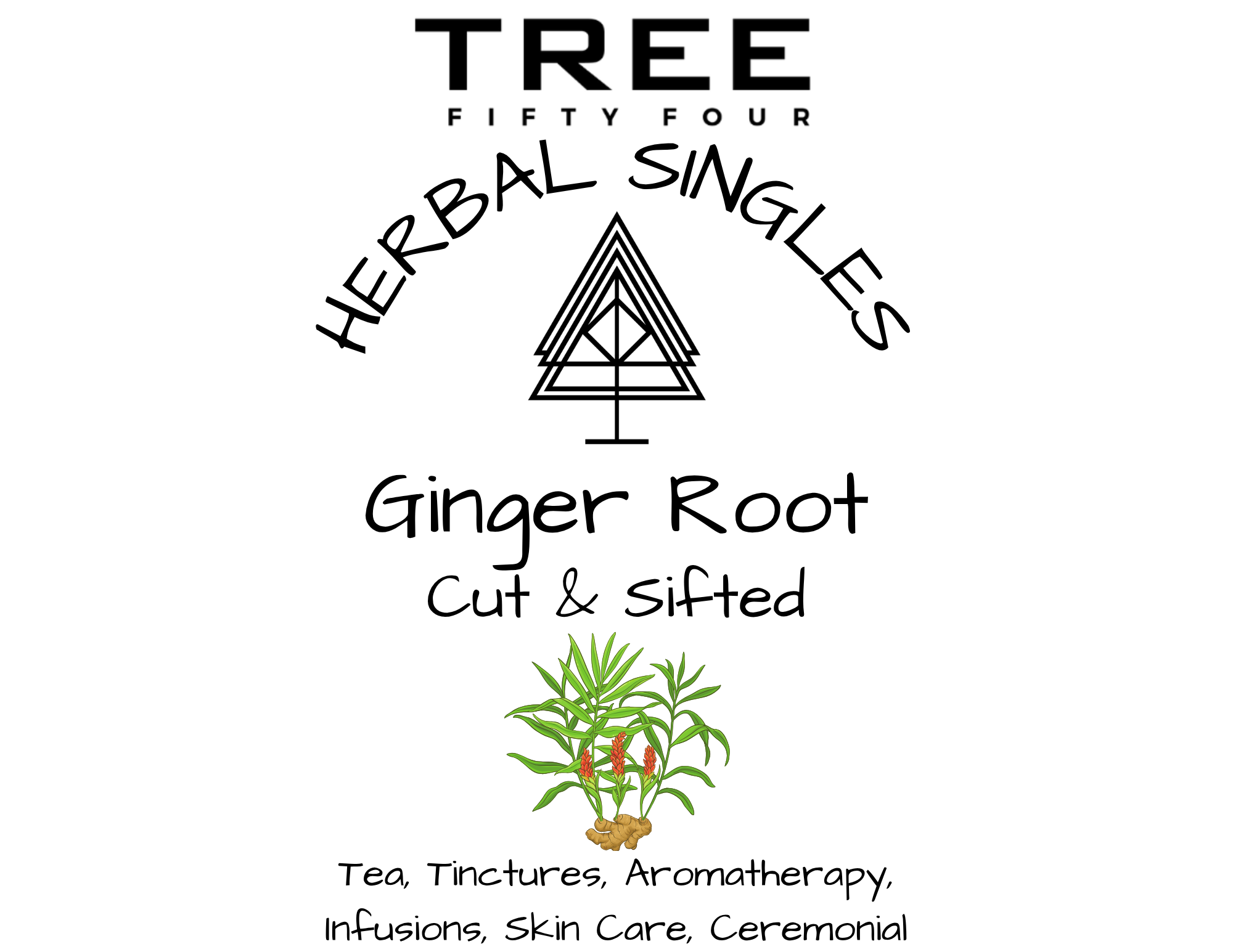 Ginger Root with N Facts.png