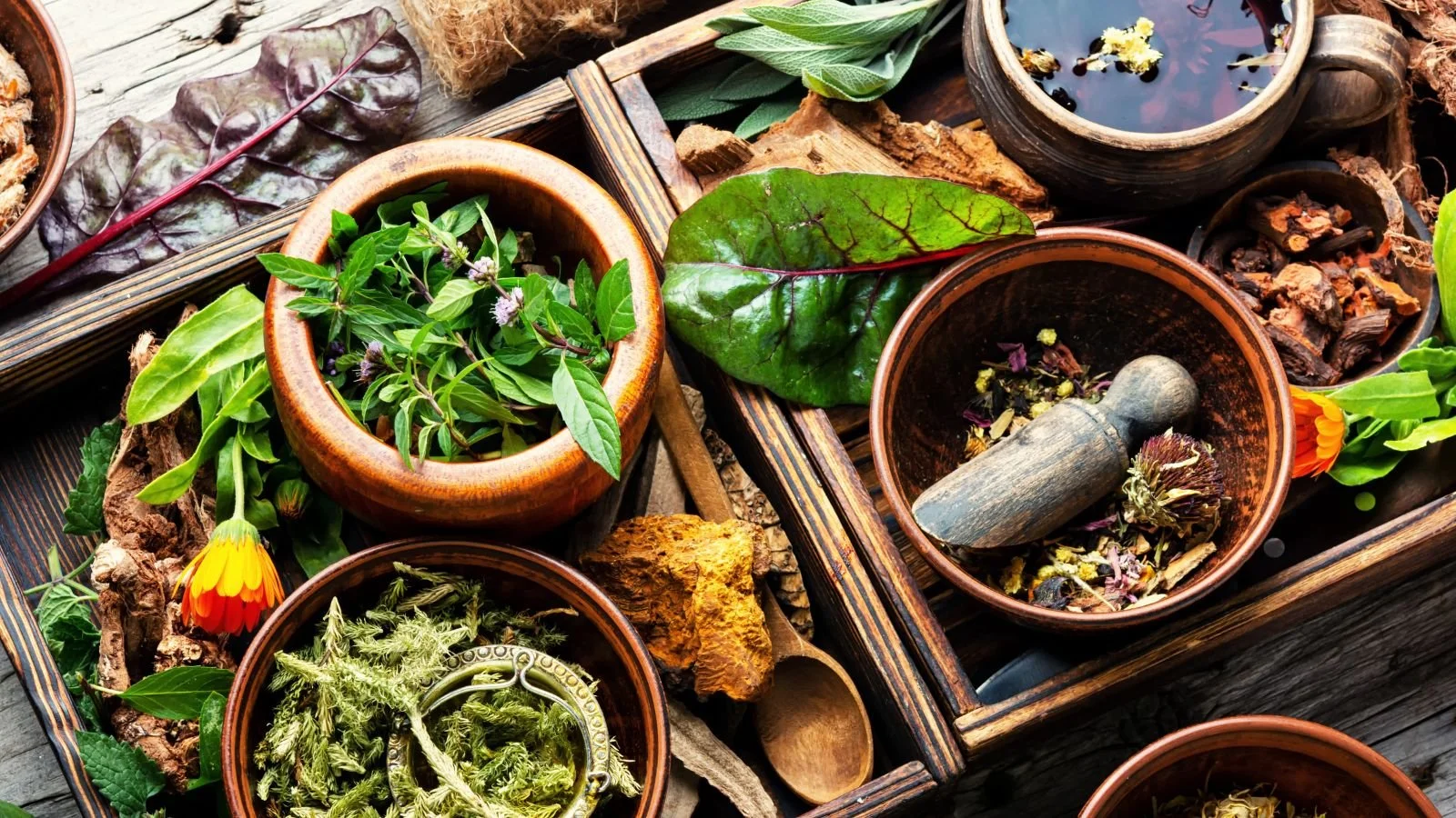 Various herbs, leaves, dried flowers, and natural ingredients in wooden and clay bowls on a rustic wooden surface, used for traditional herbal medicine or teas.