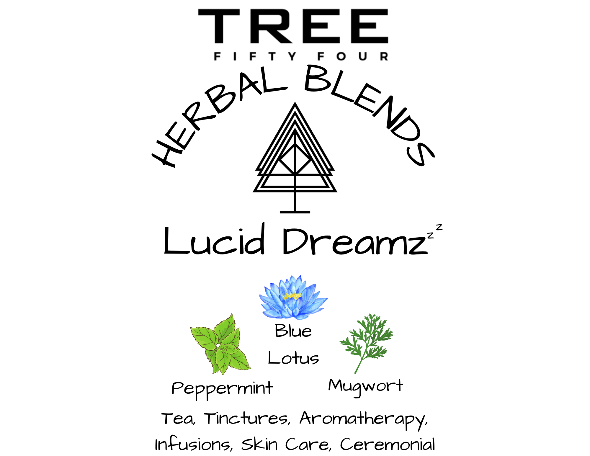 Lucid Dreamz with N Facts (2).png