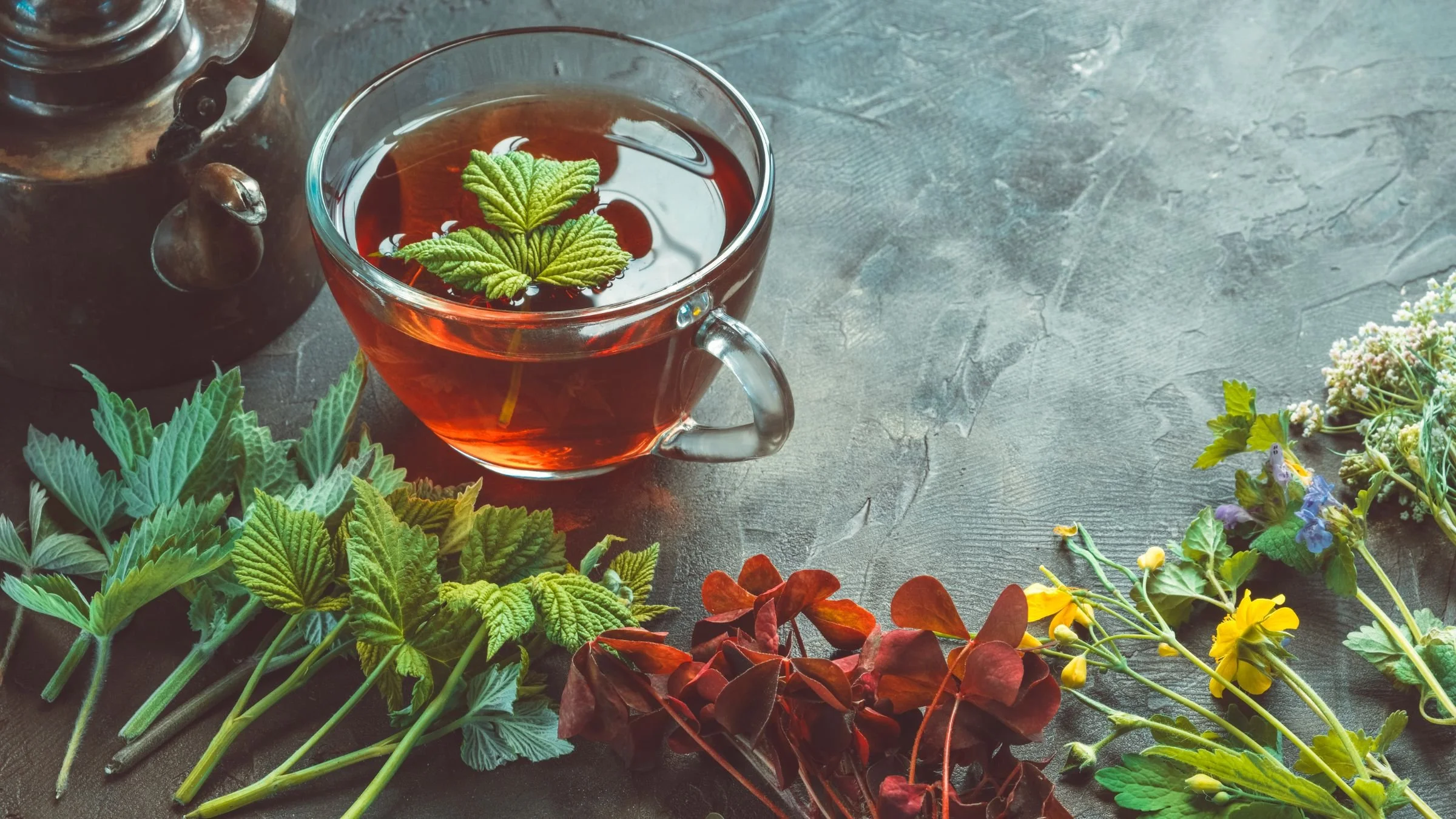 A glass cup of herbal tea with green leaves floating on the surface, surrounded by fresh green and colorful plants and flowers on a textured gray surface.