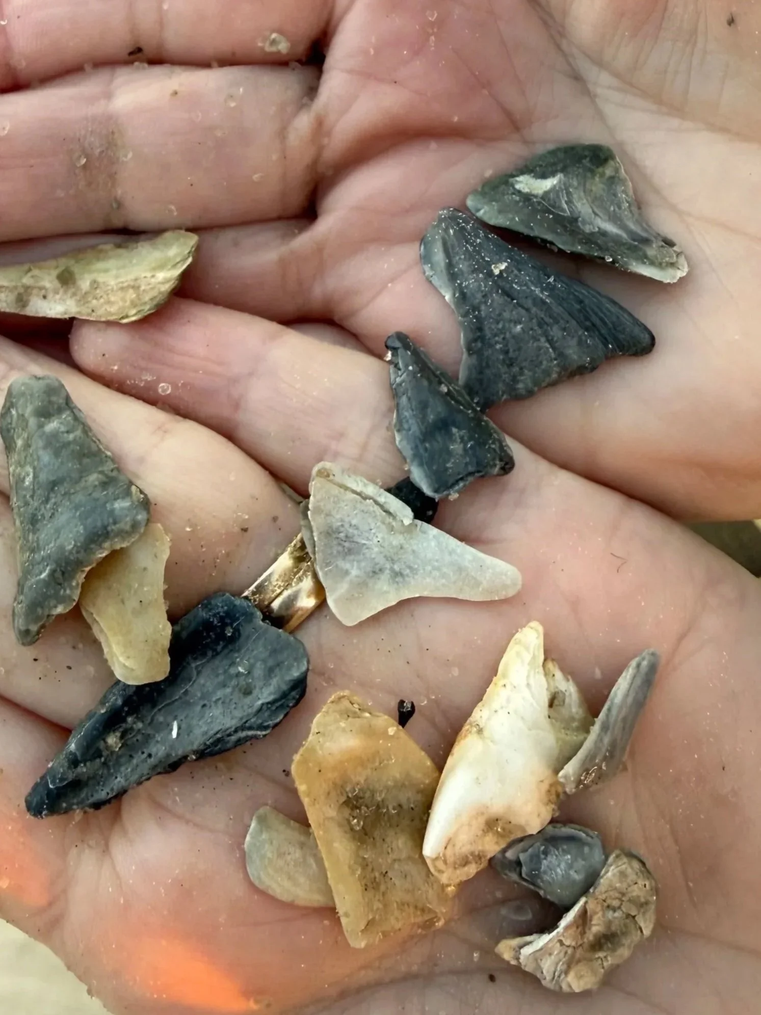 Close-up of a person's hand holding a collection of various small, sharp, and pointed arrowheads and tools made from stone, some with a polished appearance and some rough.