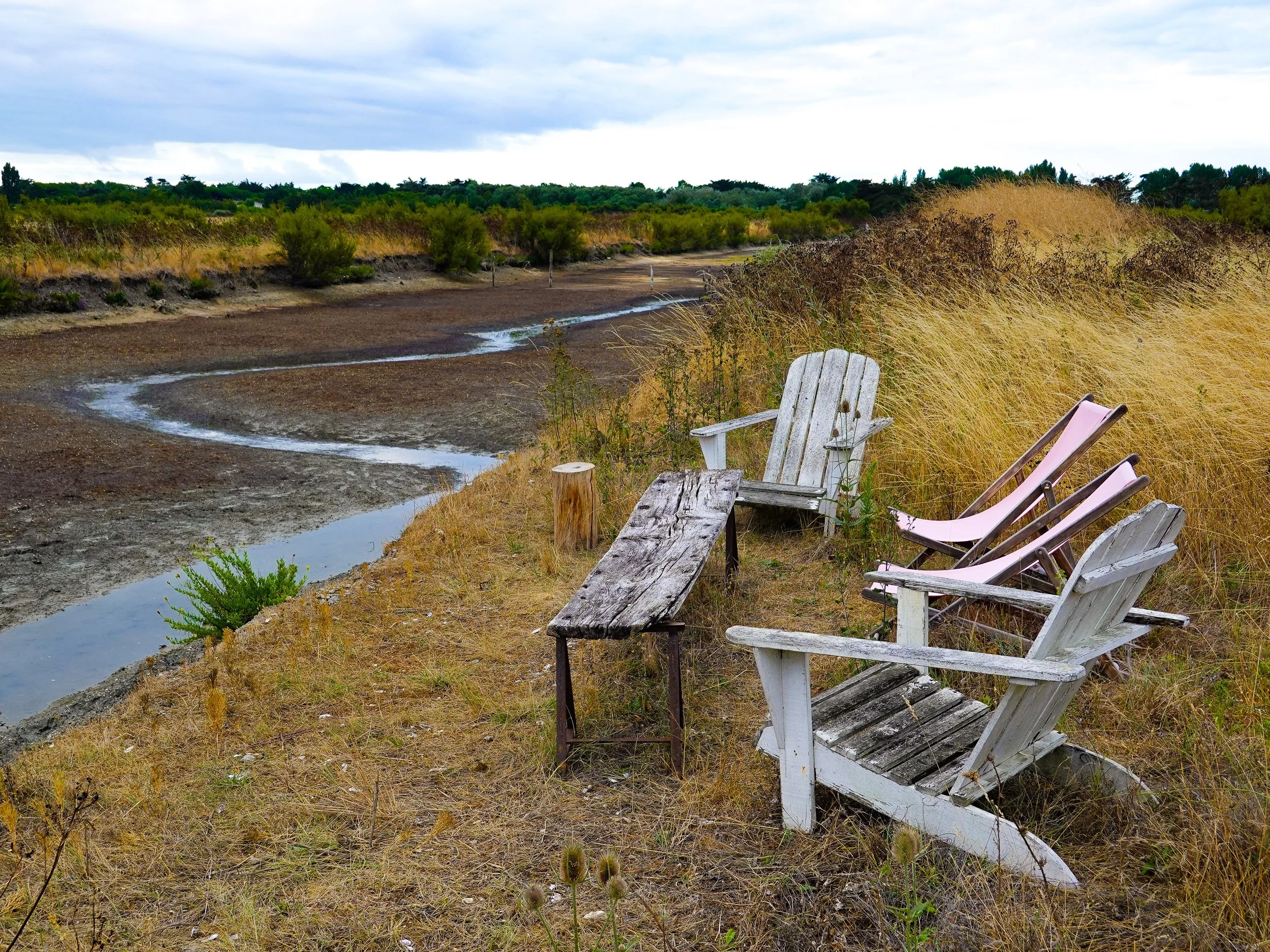 Outdoor scene with empty chairs on a grassy and gravel area, surrounded by bushes and tall dry grass, under cloudy sky.