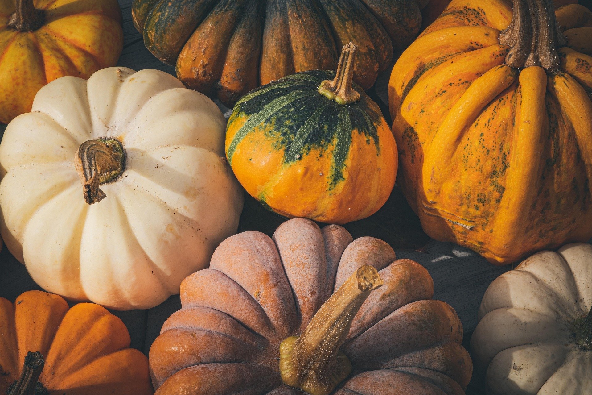Floral Painted Pumpkin Workshop