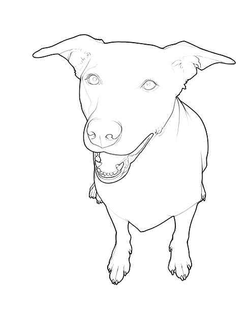 coloring-page-Kathy-Ross.png