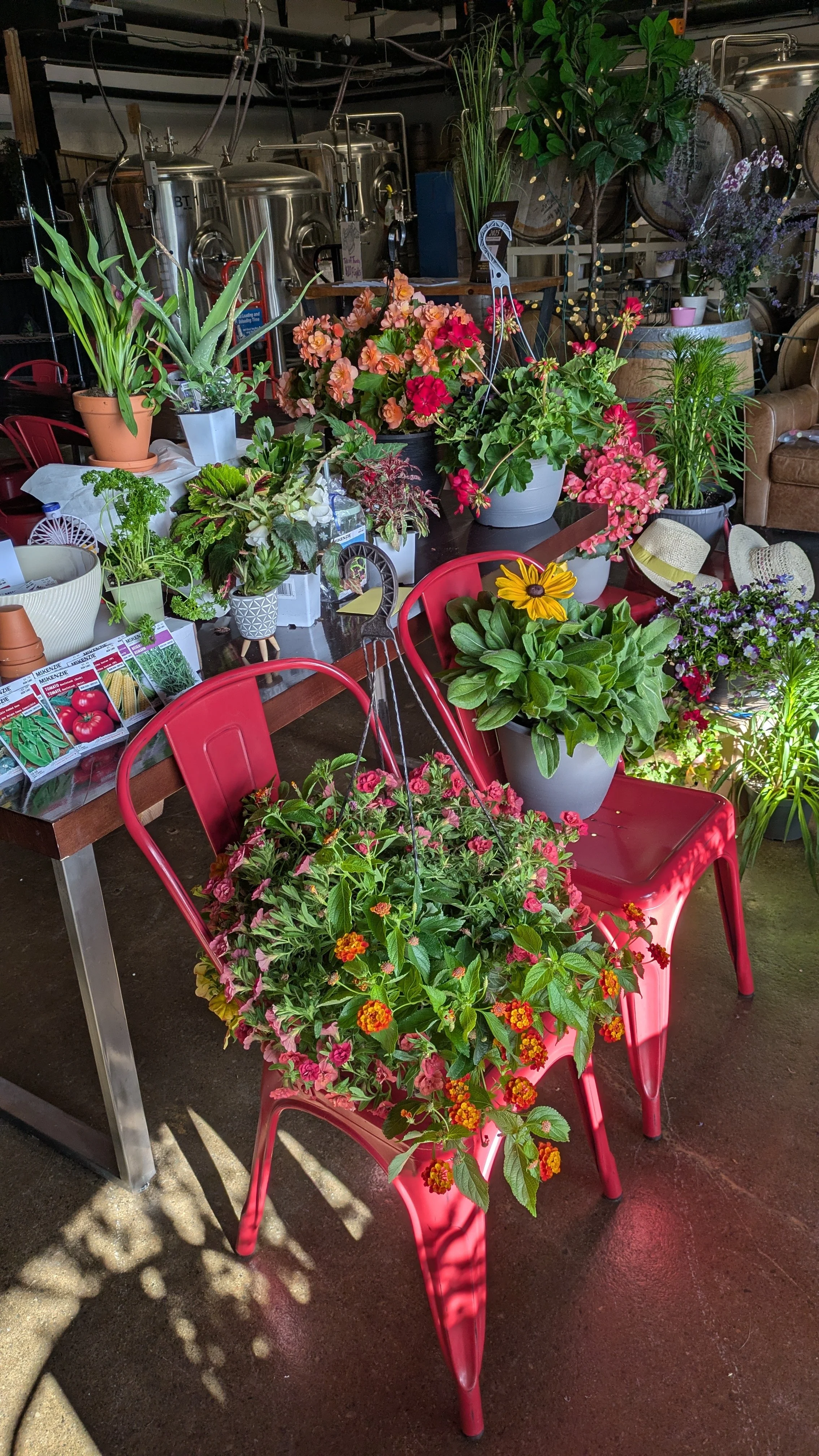 Designing Your Own Cut-Flower Garden Workshop