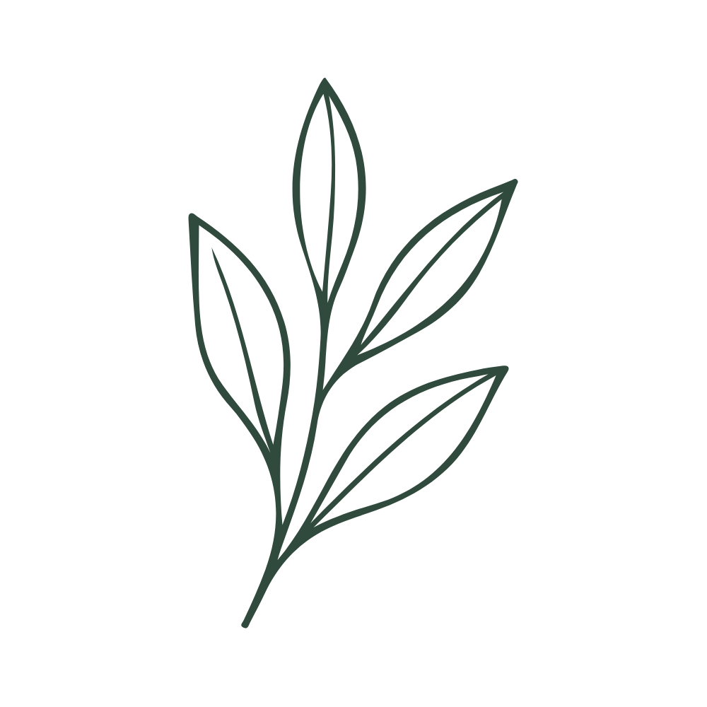 Simple leaf sprig icon with three leaves