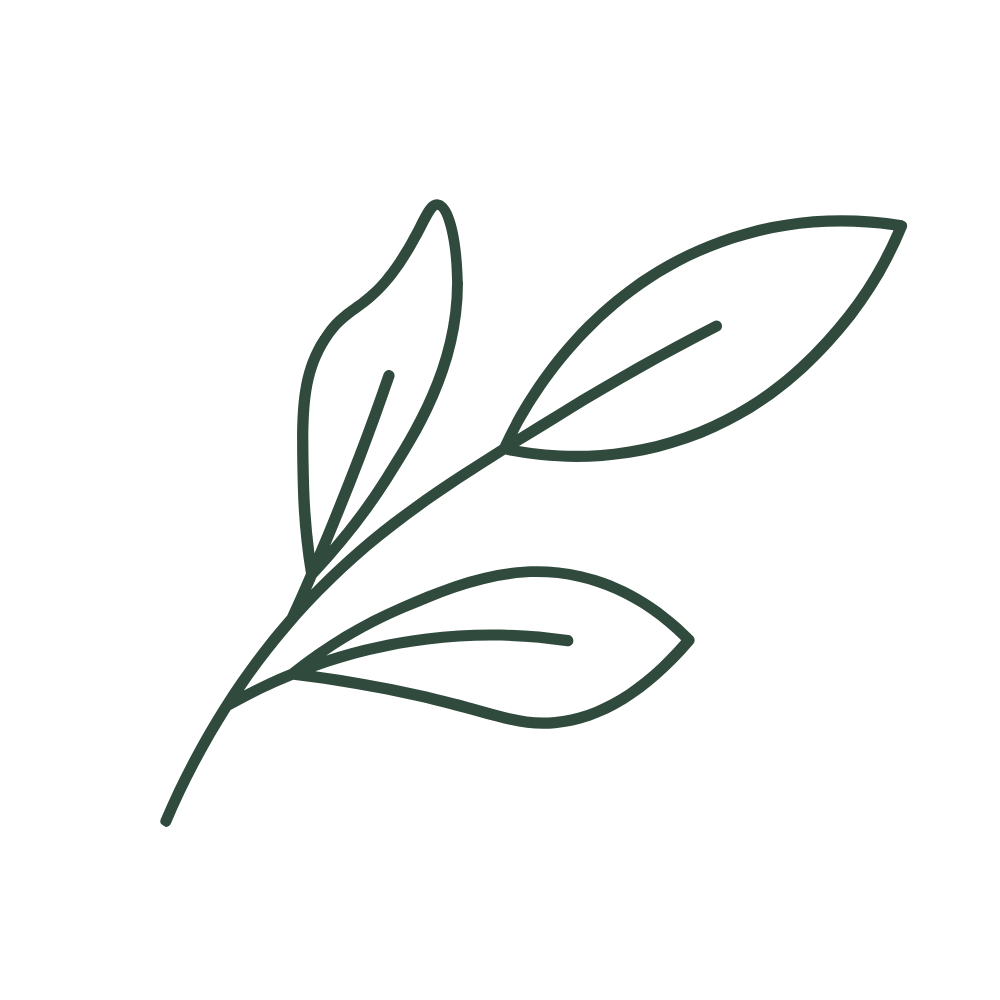 Minimal botanical branch icon with five leaves