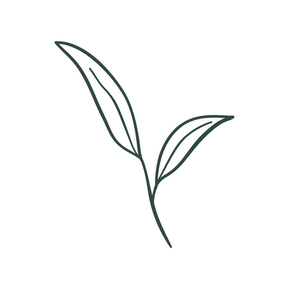 Minimal stem icon with two leaves