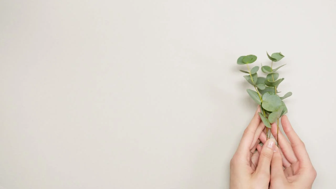 Hands holding fresh eucalyptus leaves, symbolizing natural wellness, healing, and personalized healthcare.