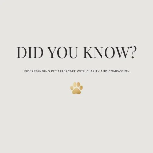 When a pet passes, many families are unsure of what actually happens next, and that uncertainty can feel overwhelming during an already emotional time.

We believe clarity brings comfort.

Your pet is always treated with care, dignity, and respect th