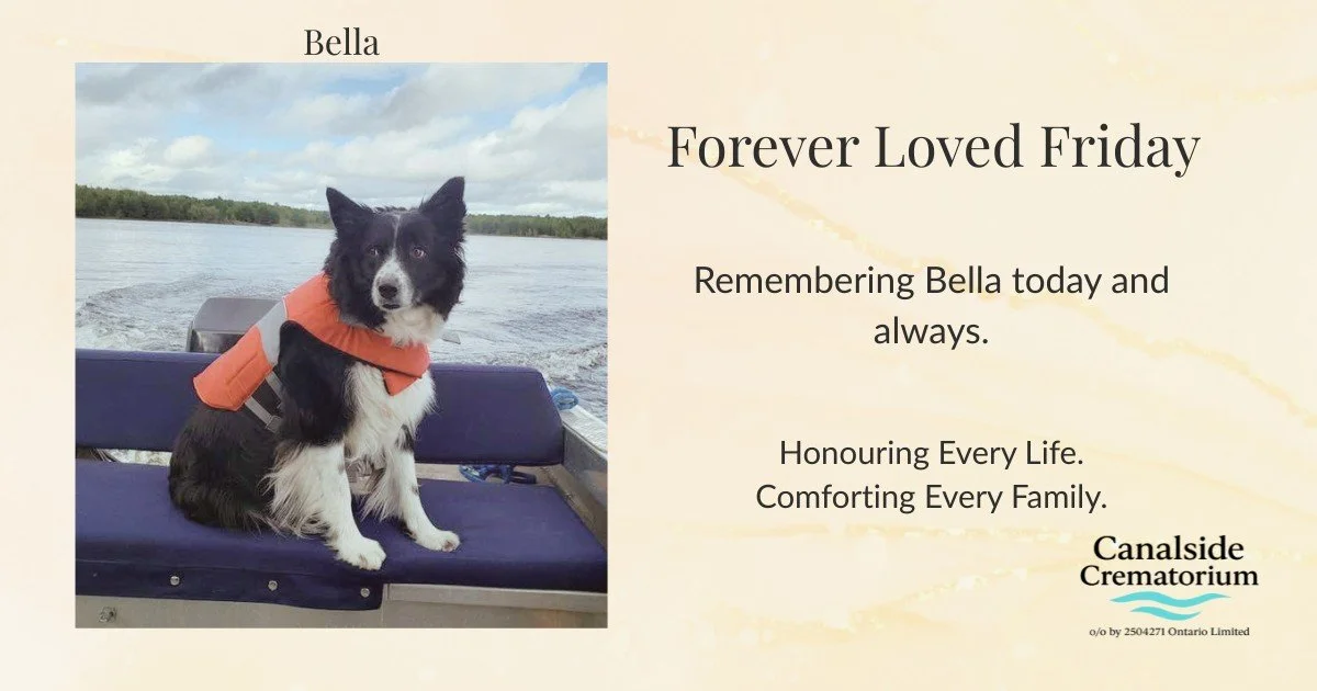 Forever Loved Friday 🐾

Today we honour Bella, whose love and companionship will always be remembered by those fortunate enough to know her.

Thank you to Bella's family for allowing us to share her memory with our community.

Every pet leaves a sto