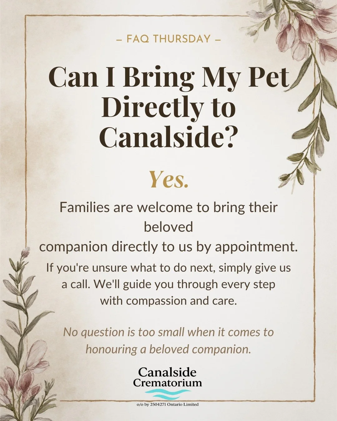 If your beloved companion passes away, knowing what to do next can feel overwhelming.

Many families ask if they can bring their pet directly to us.

The answer is yes&mdash;by appointment, we're here to welcome you and provide guidance every step of