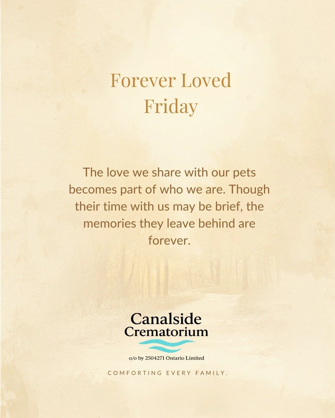 Every pet leaves behind a story filled with unconditional love, quiet companionship, and cherished memories.

As we close another week, we take a moment to remember every beloved companion who has left paw prints on our hearts.

If you'd like to, we'