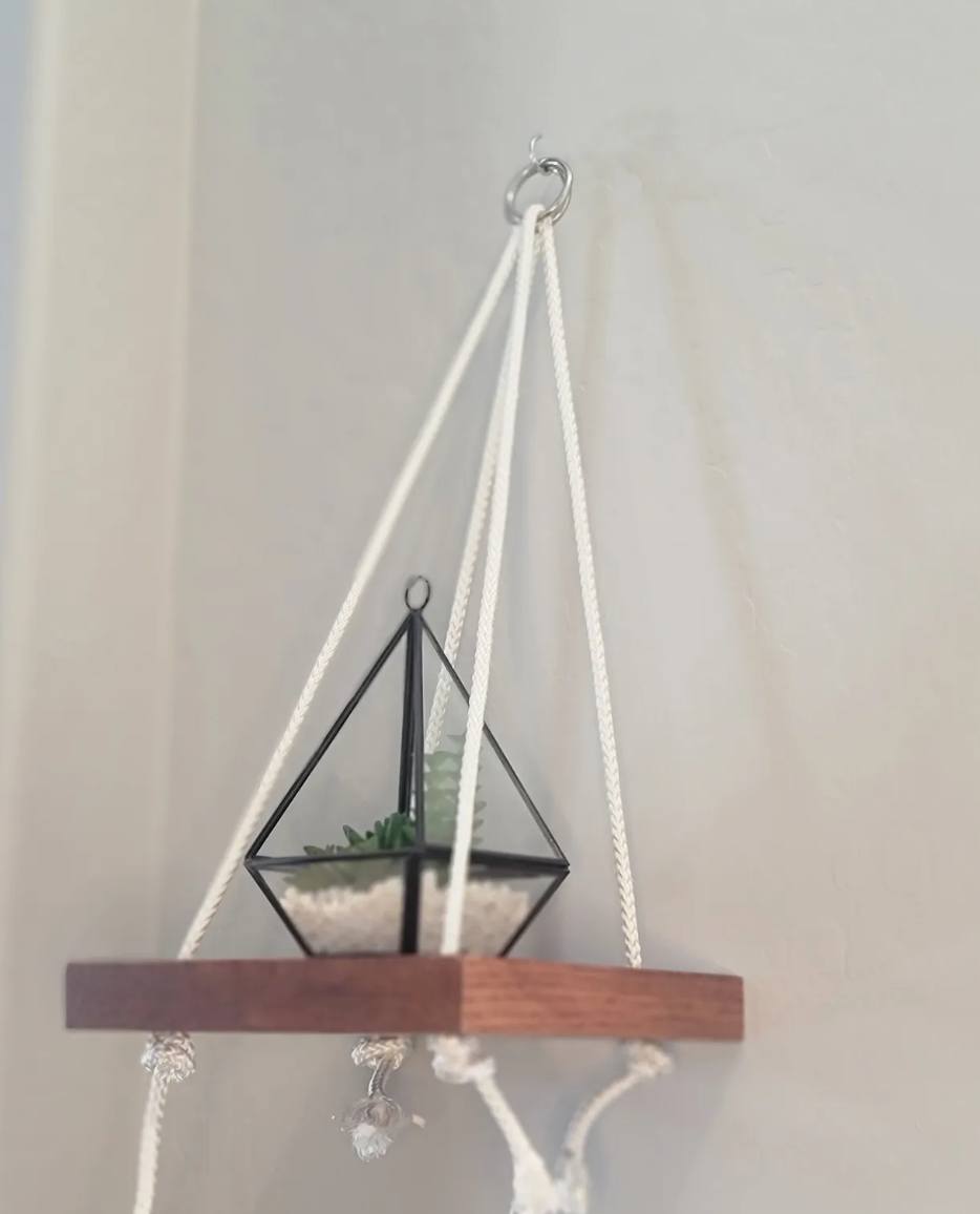 A hanging wooden shelf with white ropes and a small glass terrarium with a succulent inside, mounted on a white wall.