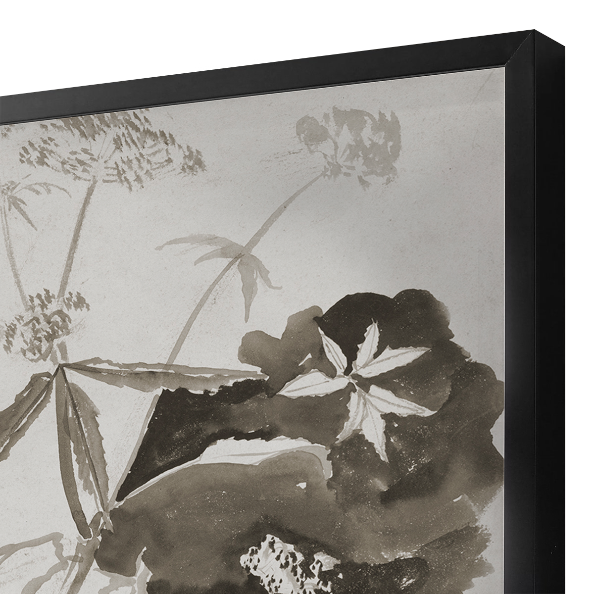 Close-up of a framed black and white ink painting replica of botanical elements, including various leaves and stems, with detailed shading.