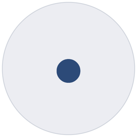 Close-up of a disc or CD with a central hole.