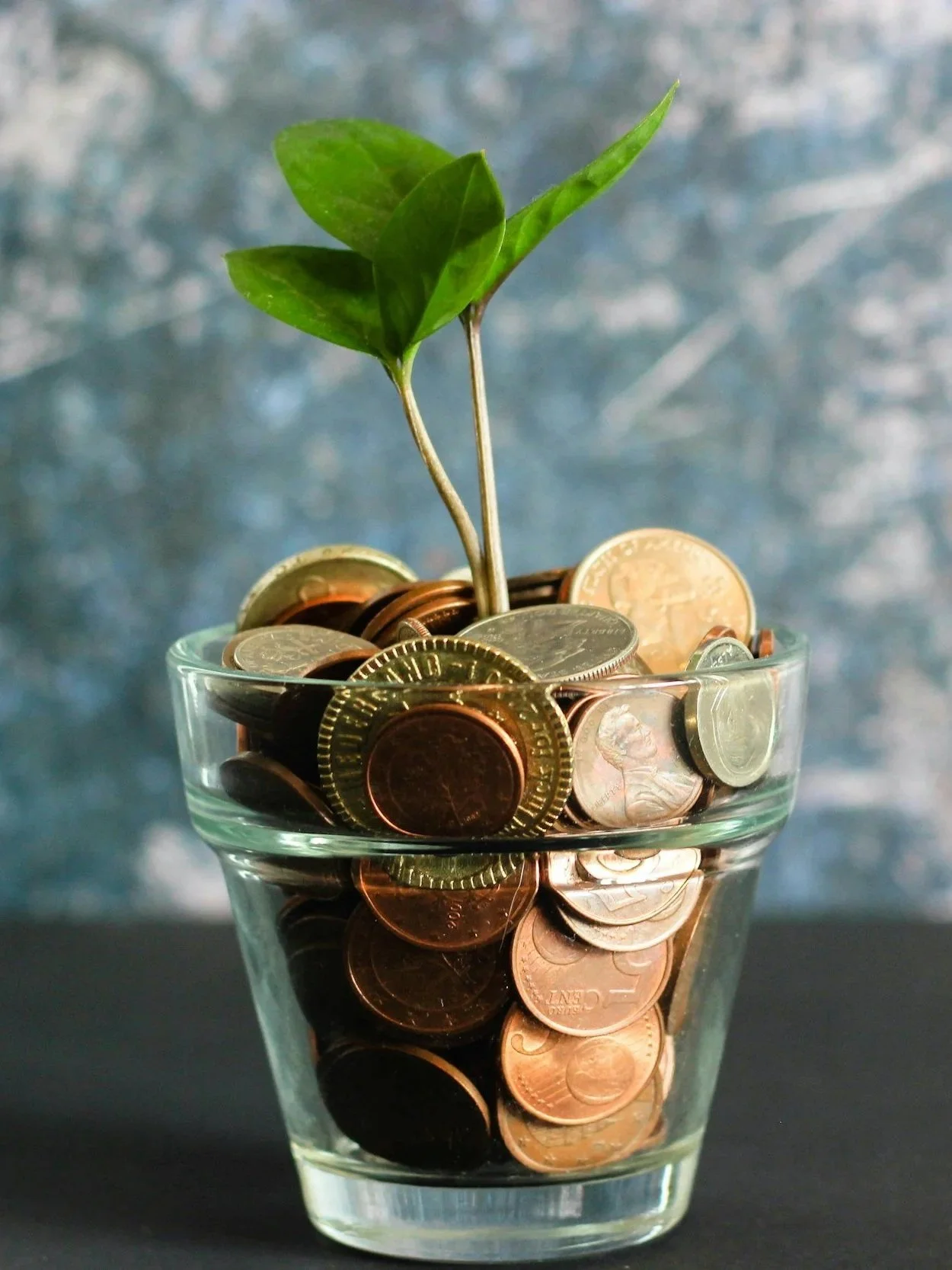 A glass filled with mixed coins, including pennies and nickels, with a small green plant sprouting from the coins.