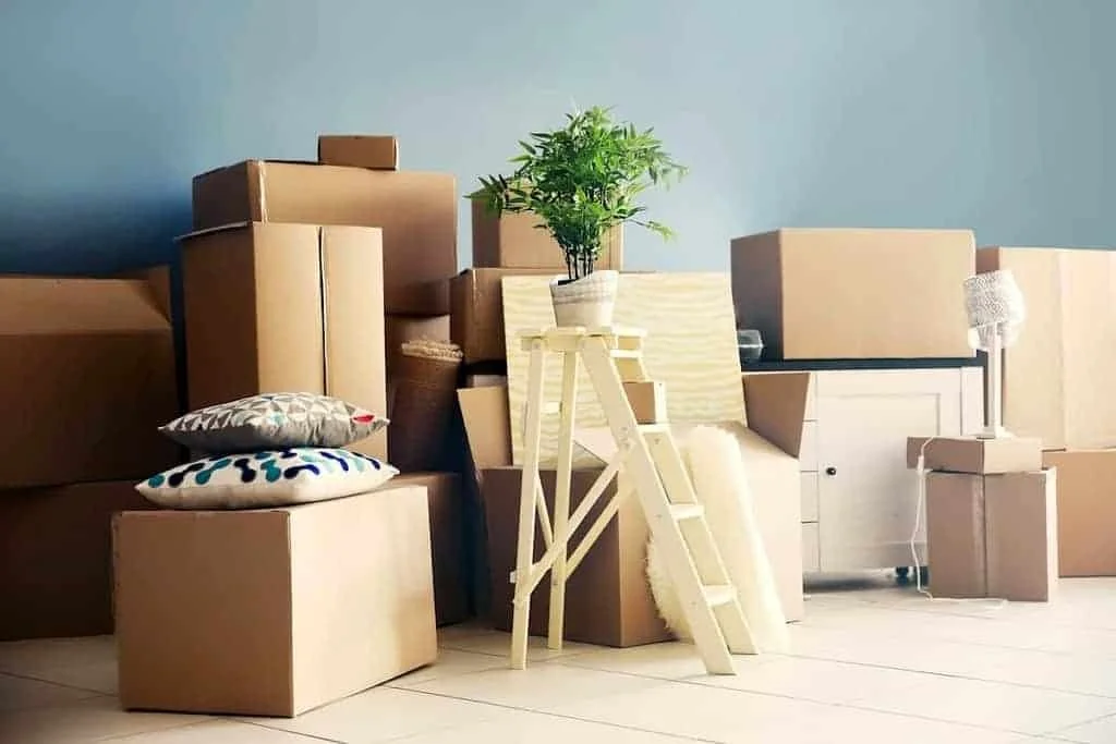 Deep Clean & Move Out Clean