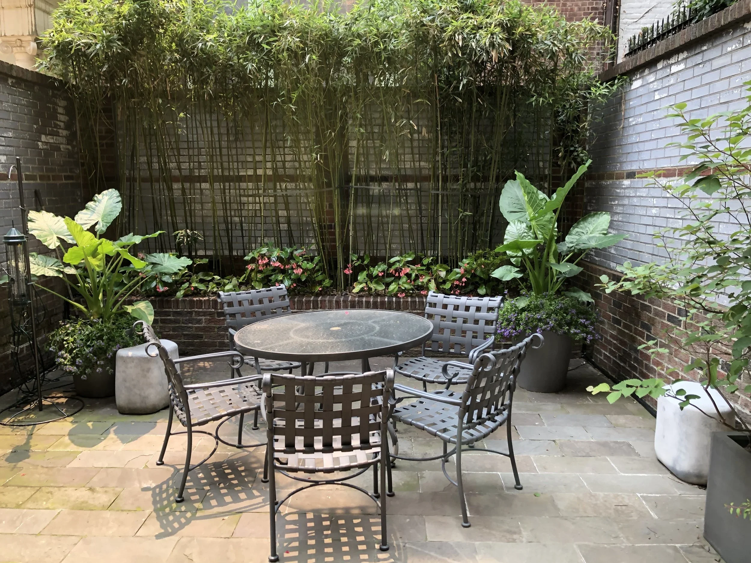 Upper East Side backyard