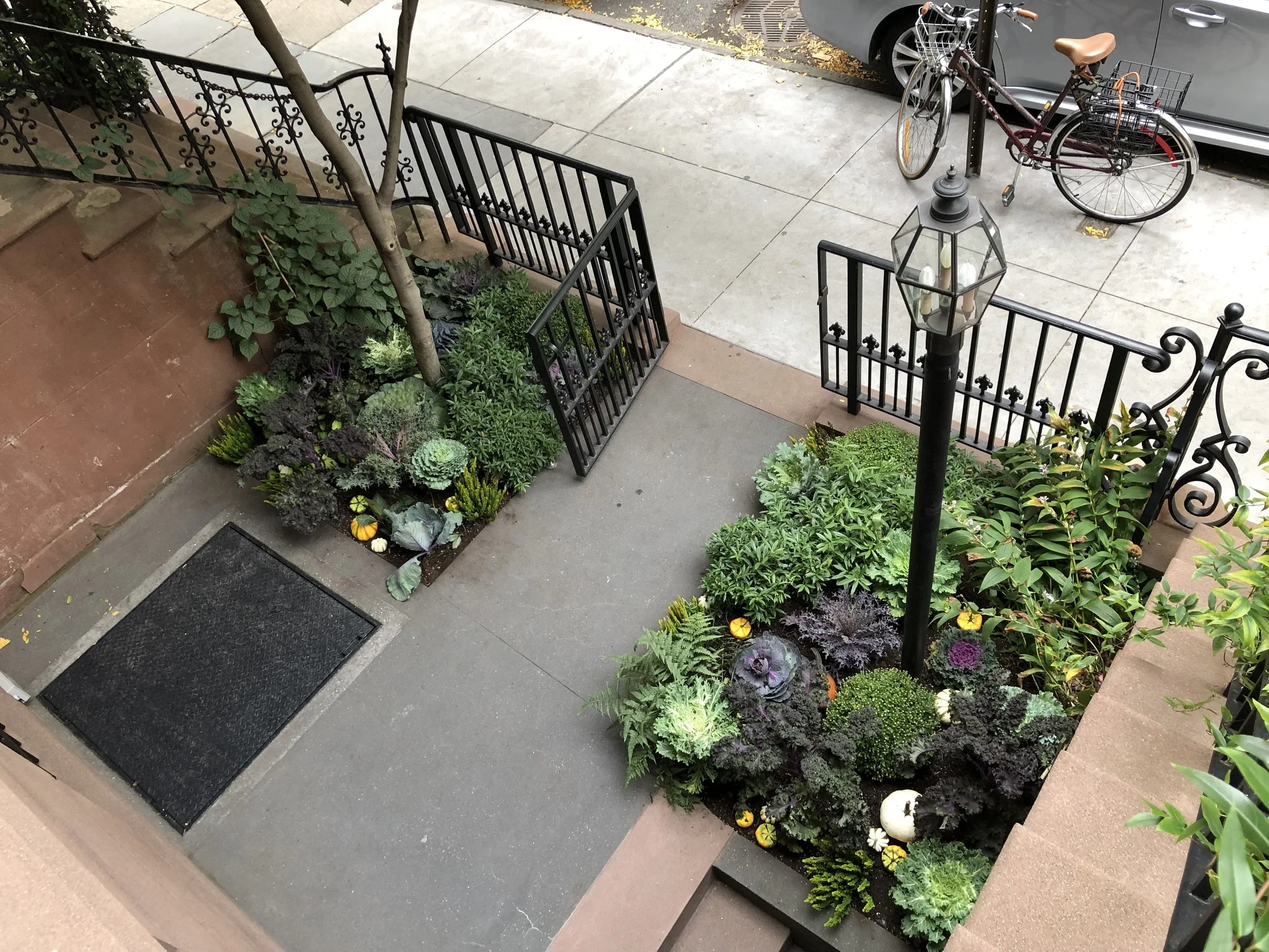 Greenwich front yard