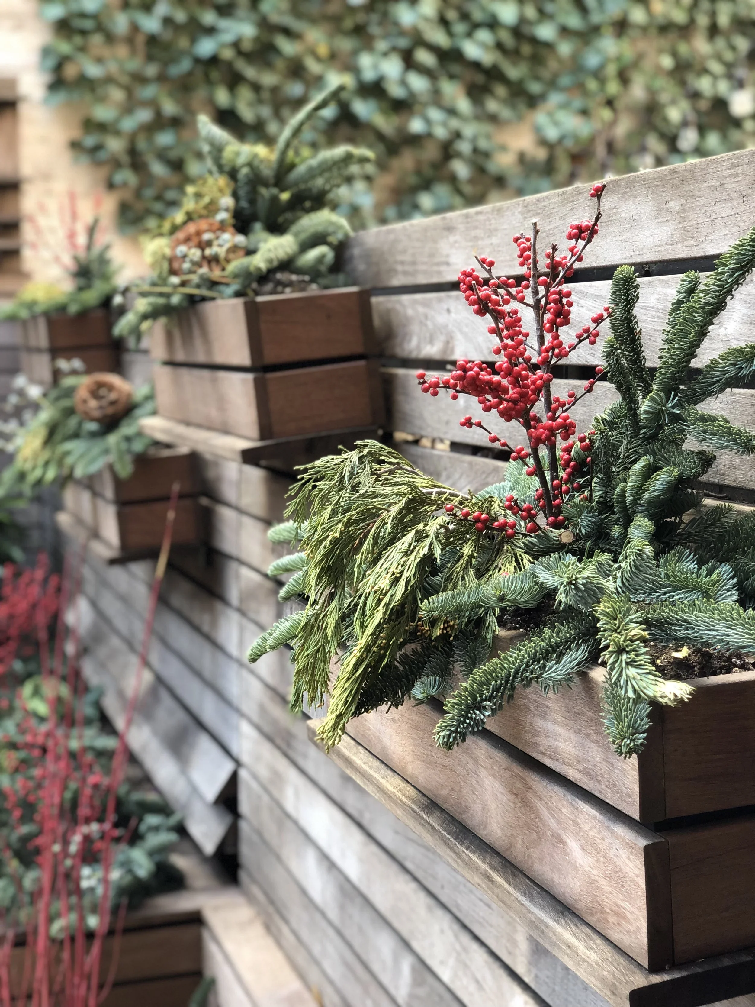 West Village backyard
