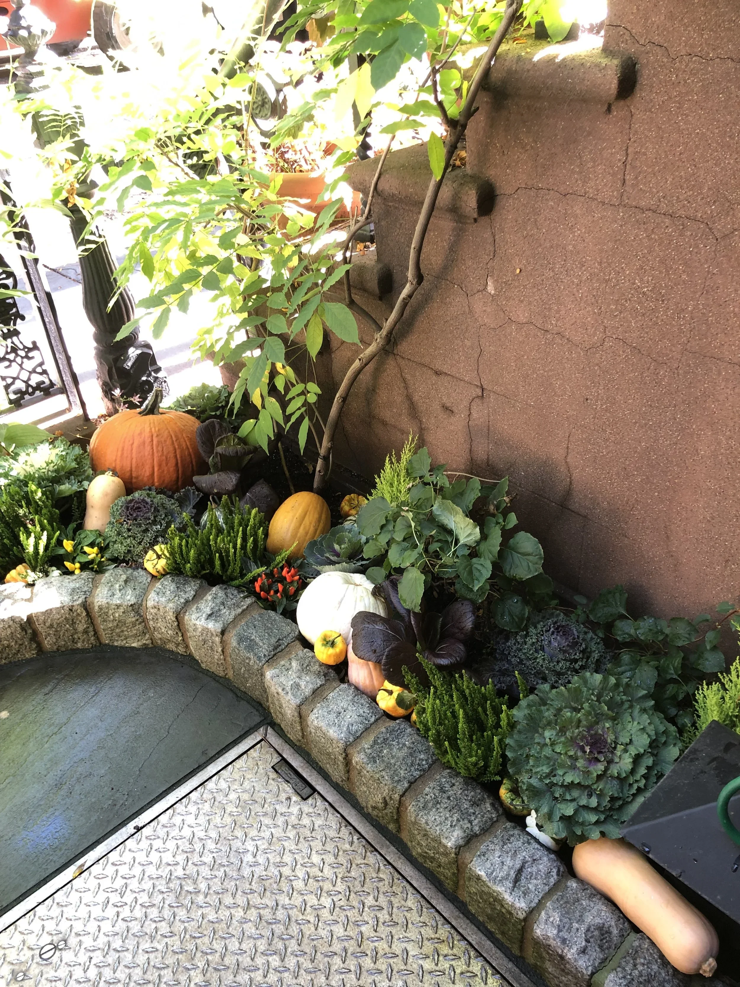 Cobble Hill front yard