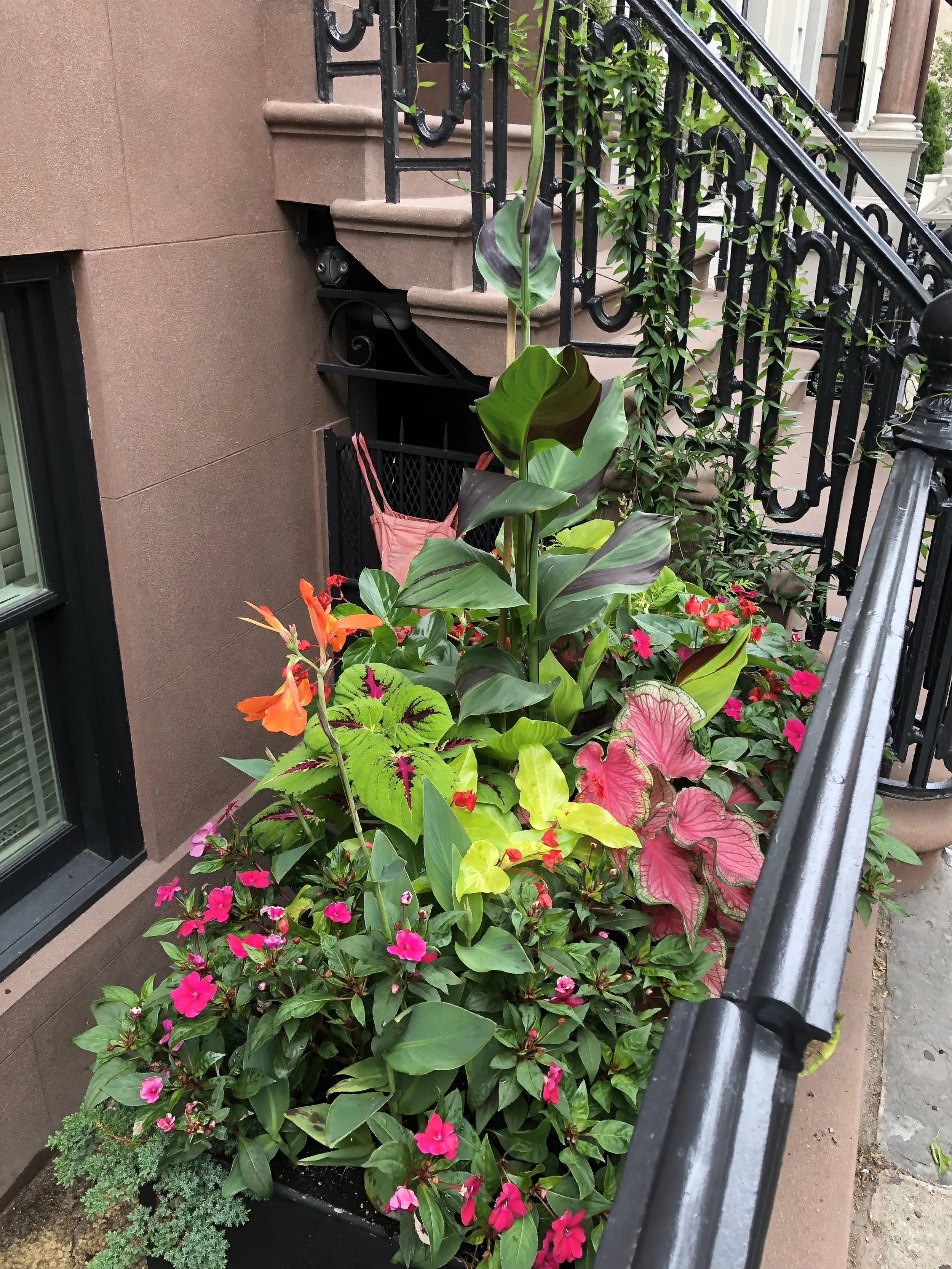 Gramercy front yard display
