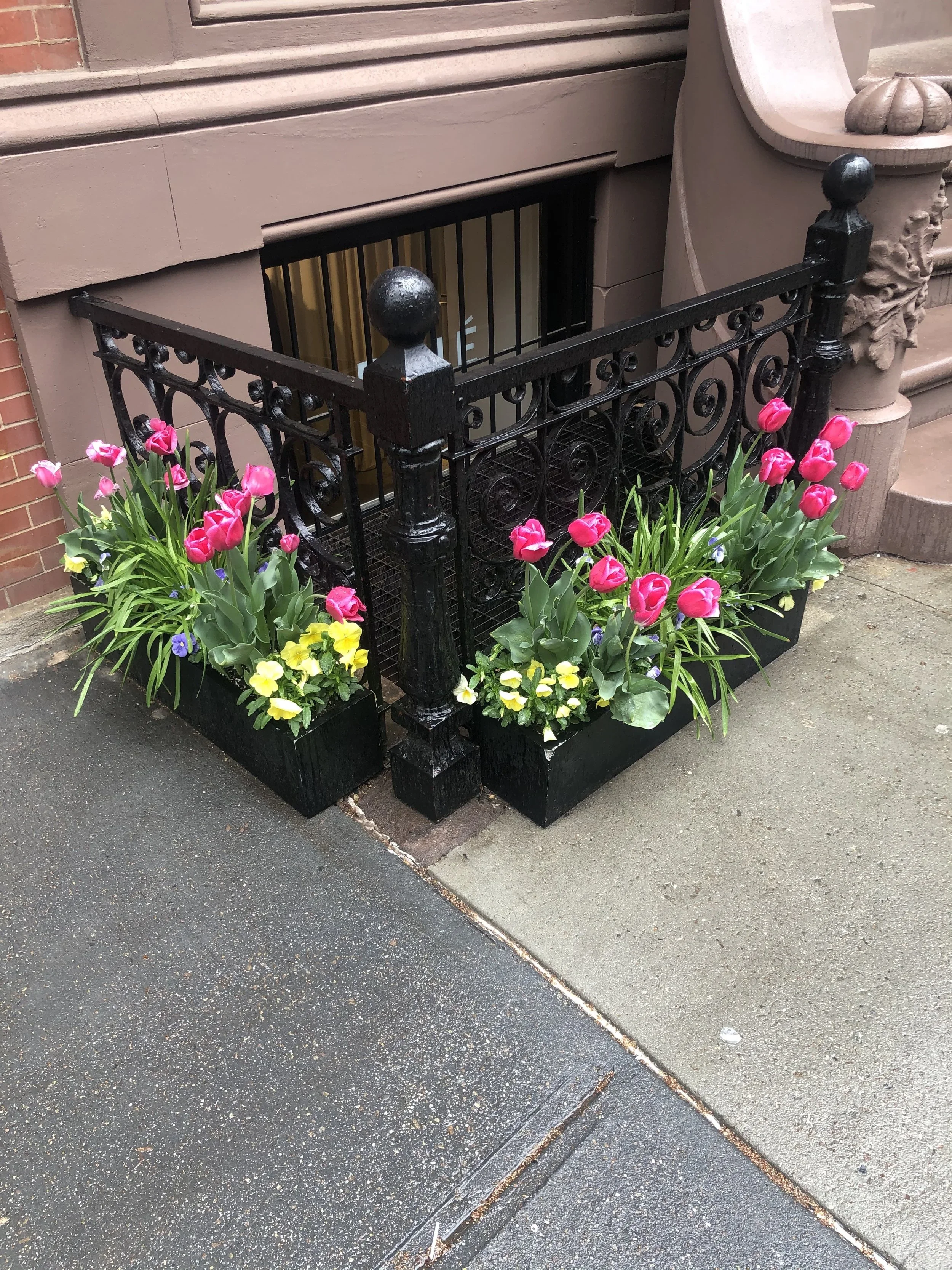 Rhie Studio (West Village) Storefront Planter Display