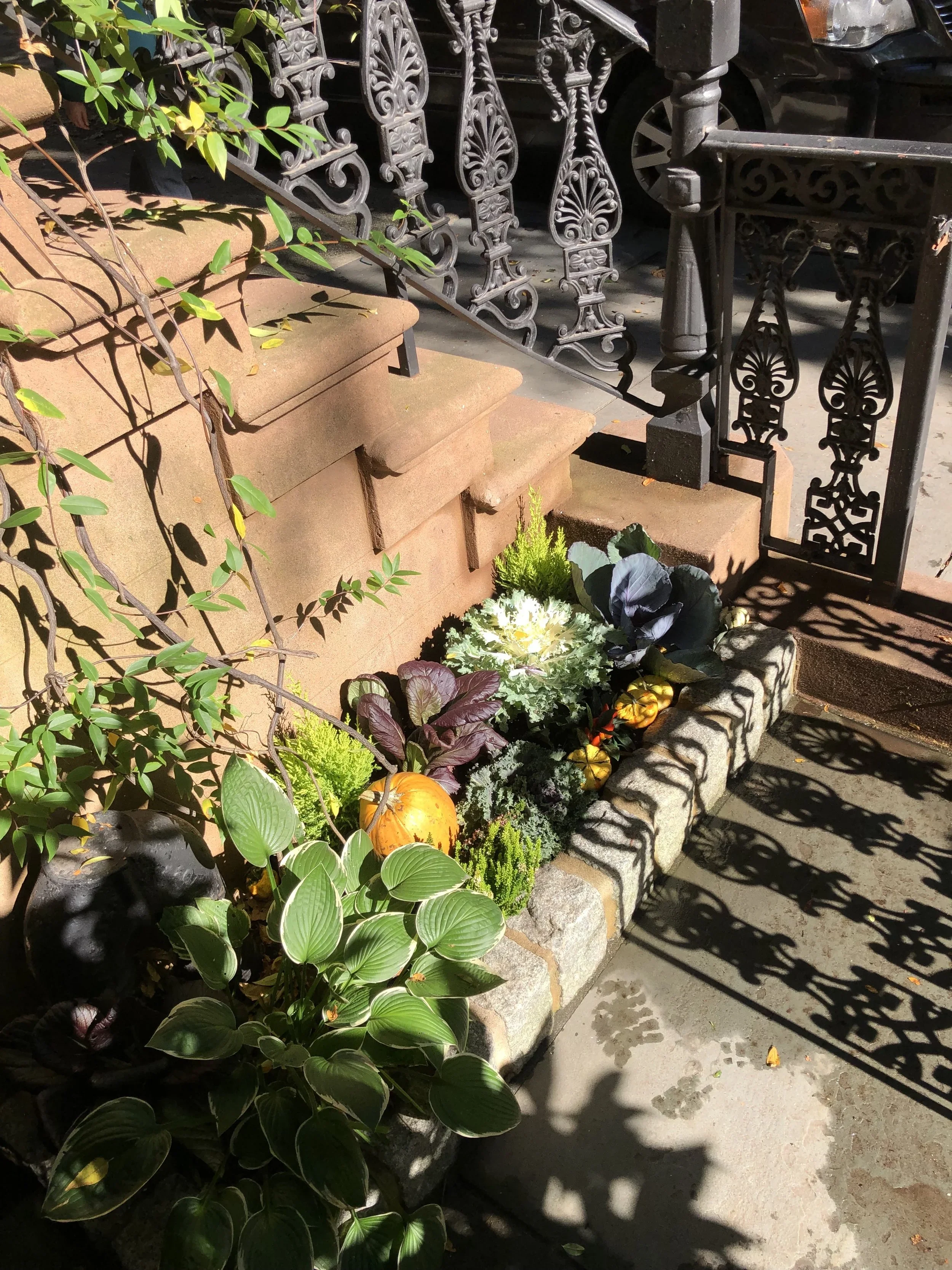 Cobble Hill front yard